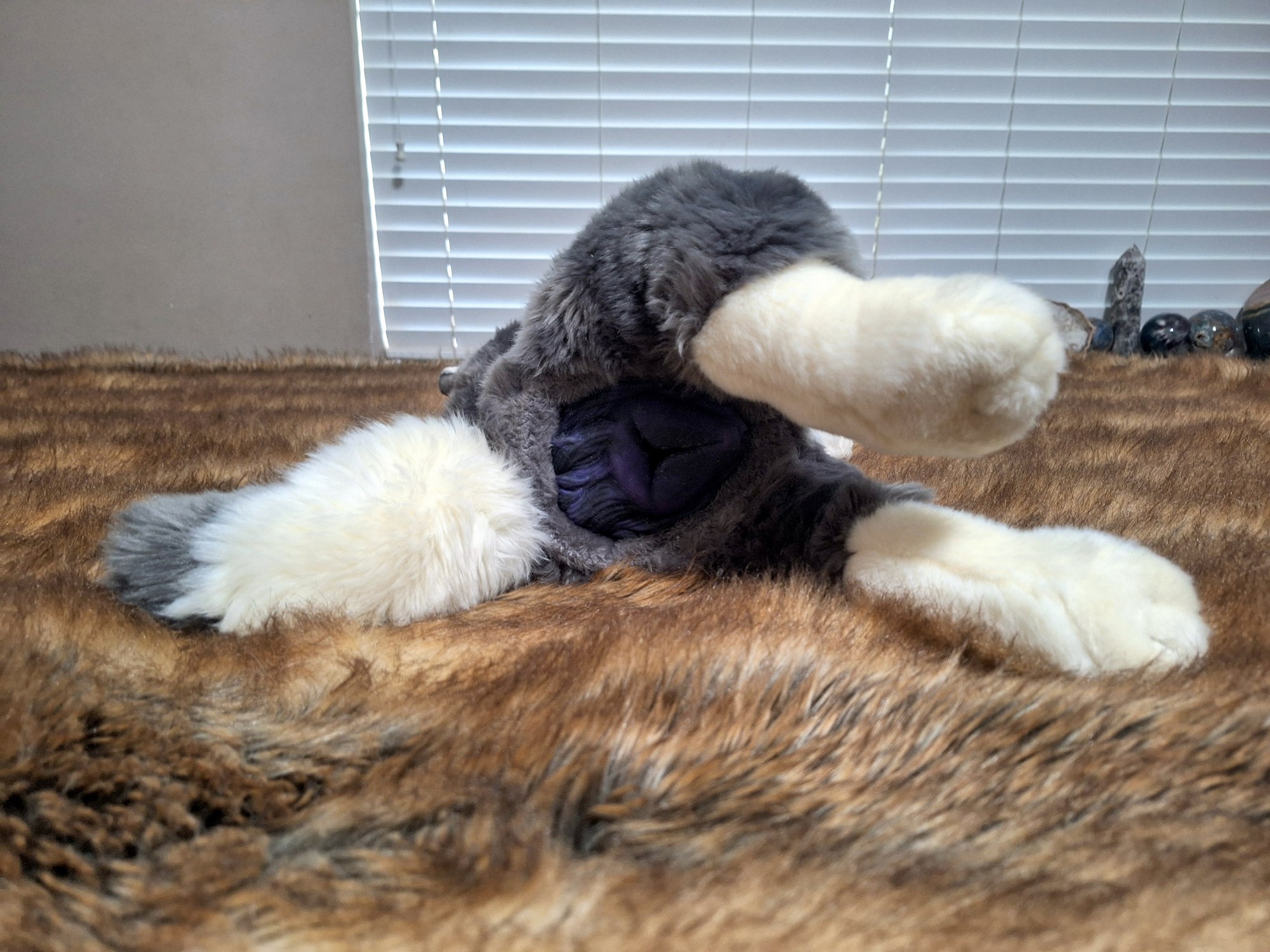 20241004_172919 (Copy)