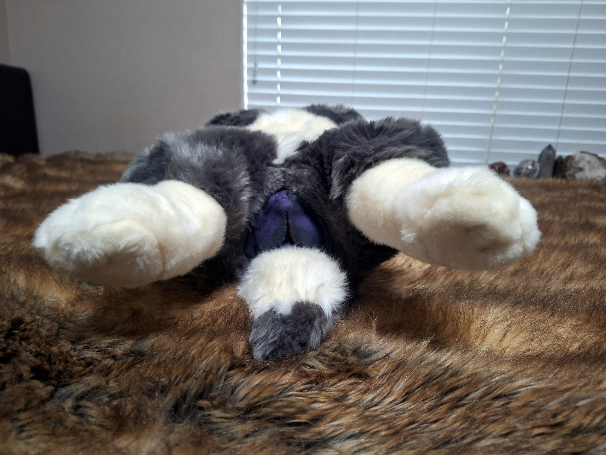 20241004_172932 (Copy)