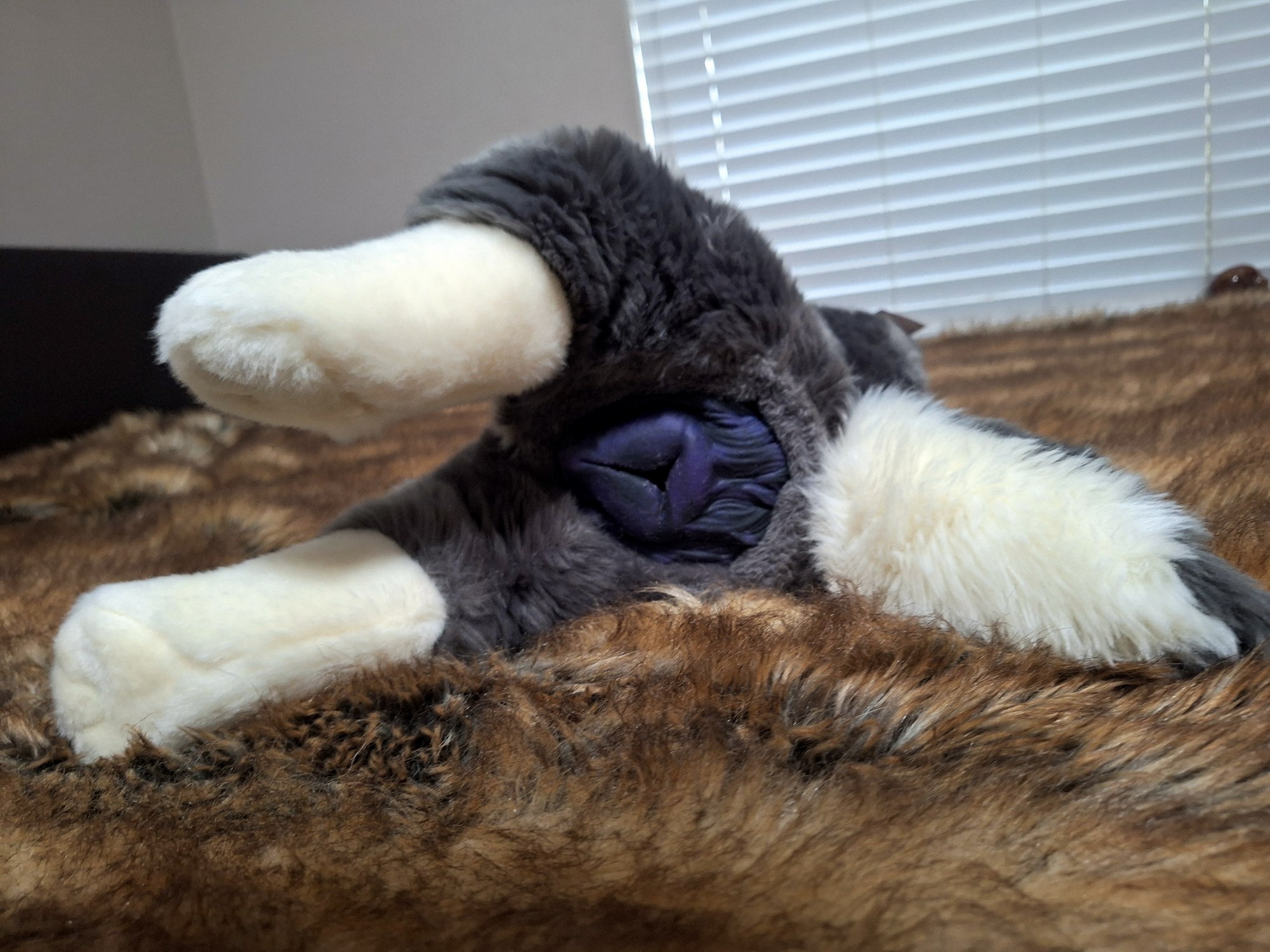 20241004_172941 (Copy)