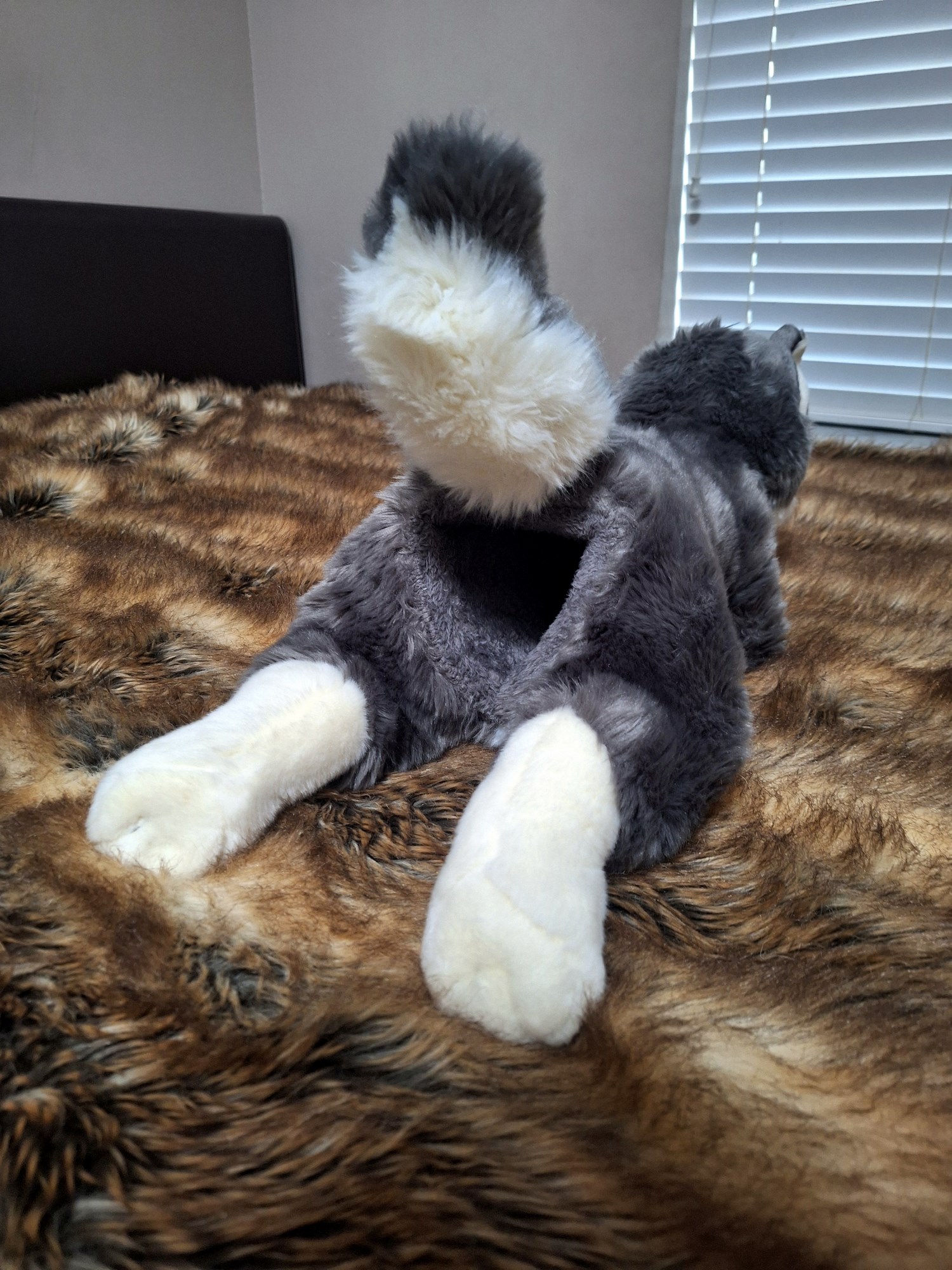 20241004_173011 (Copy)