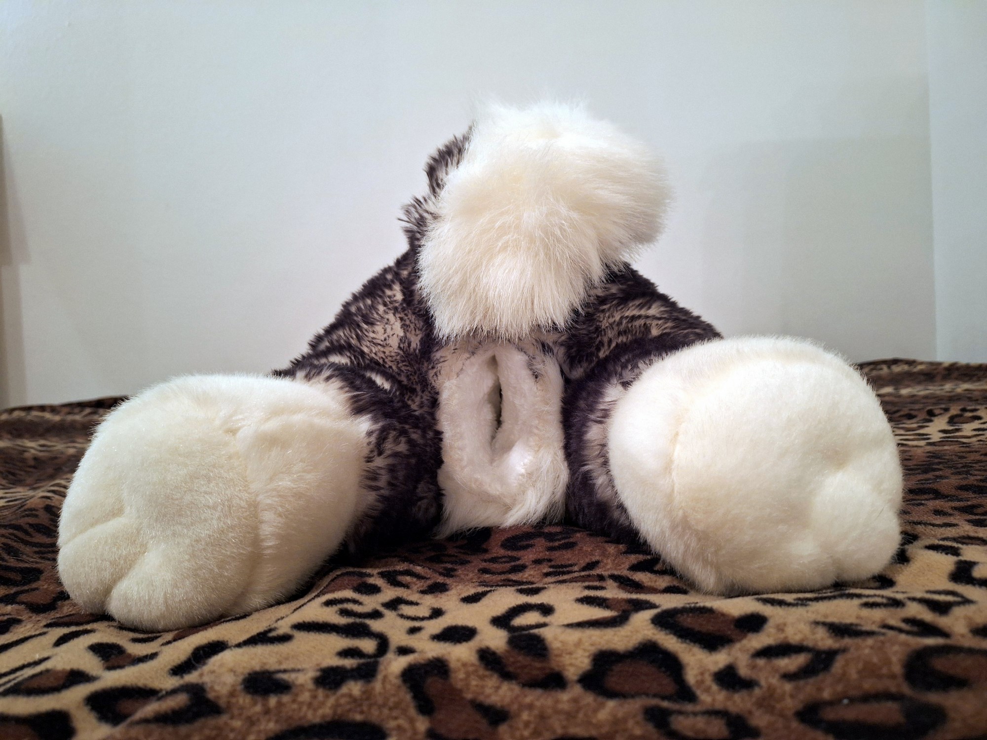 20241008_154144 (Copy)