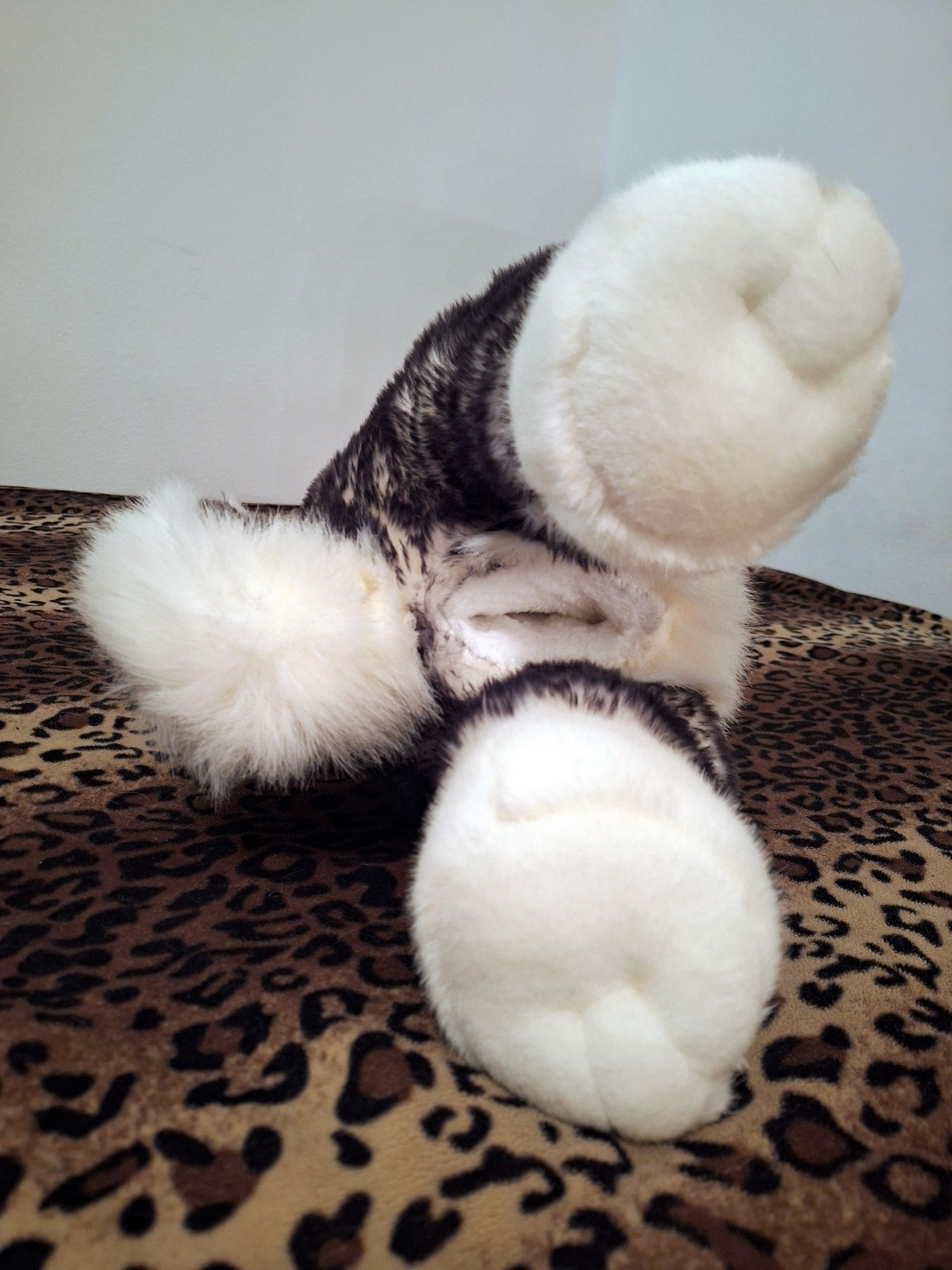 20241008_154218 (Copy)