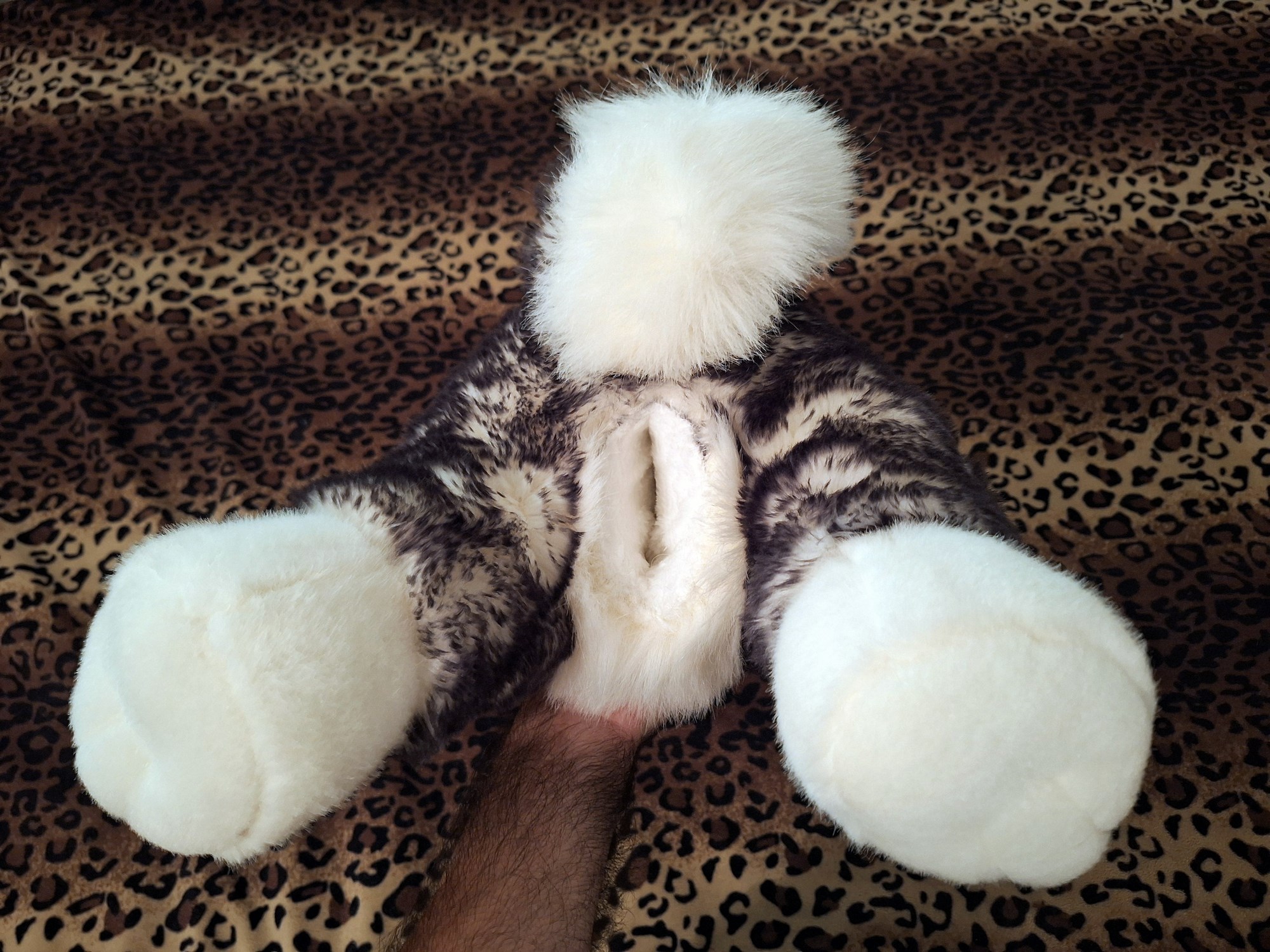 20241008_154231 (Copy)