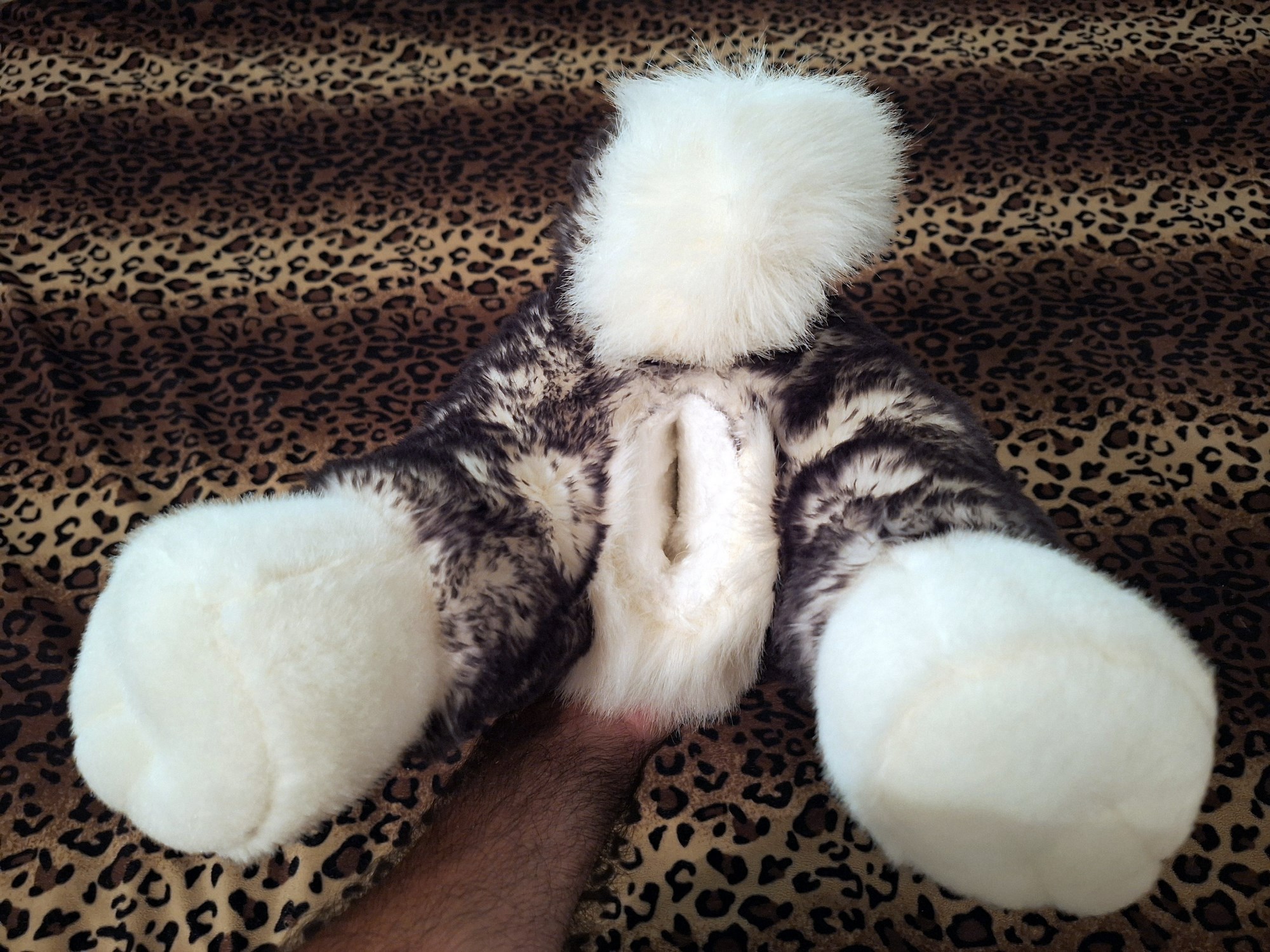 20241008_154248 (Copy)