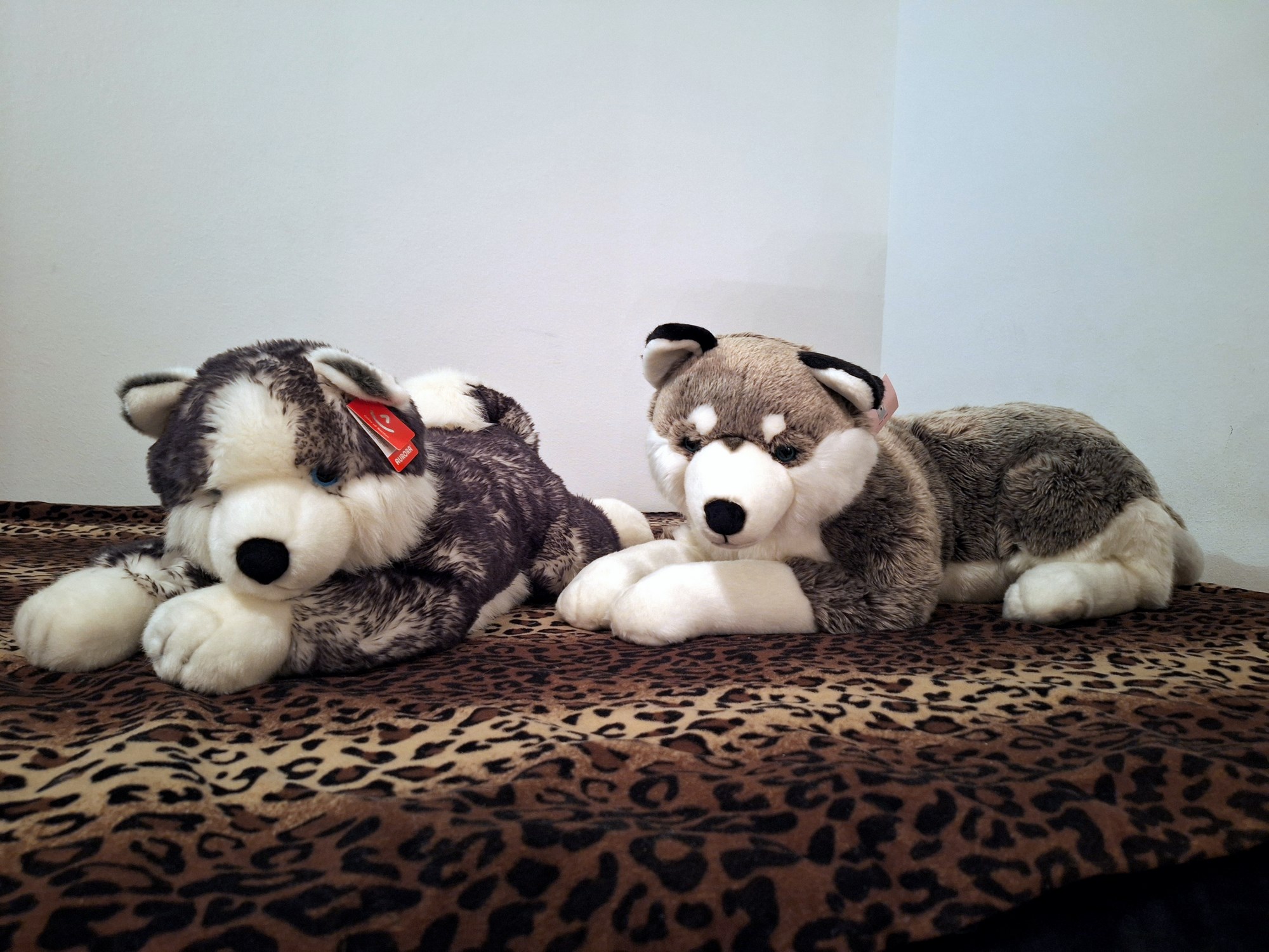 20241008_154621 (Copy)