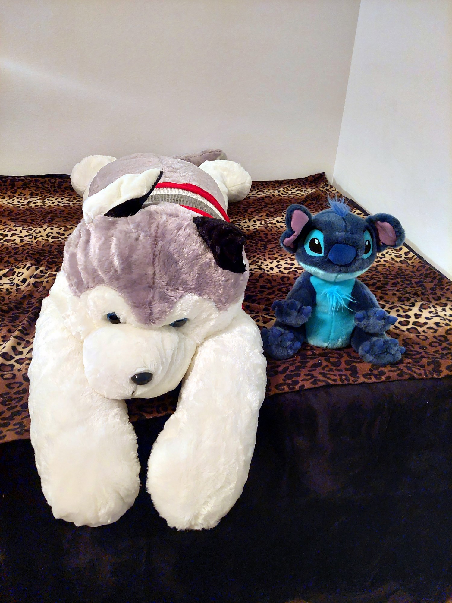 20230821_114557 (Copy)