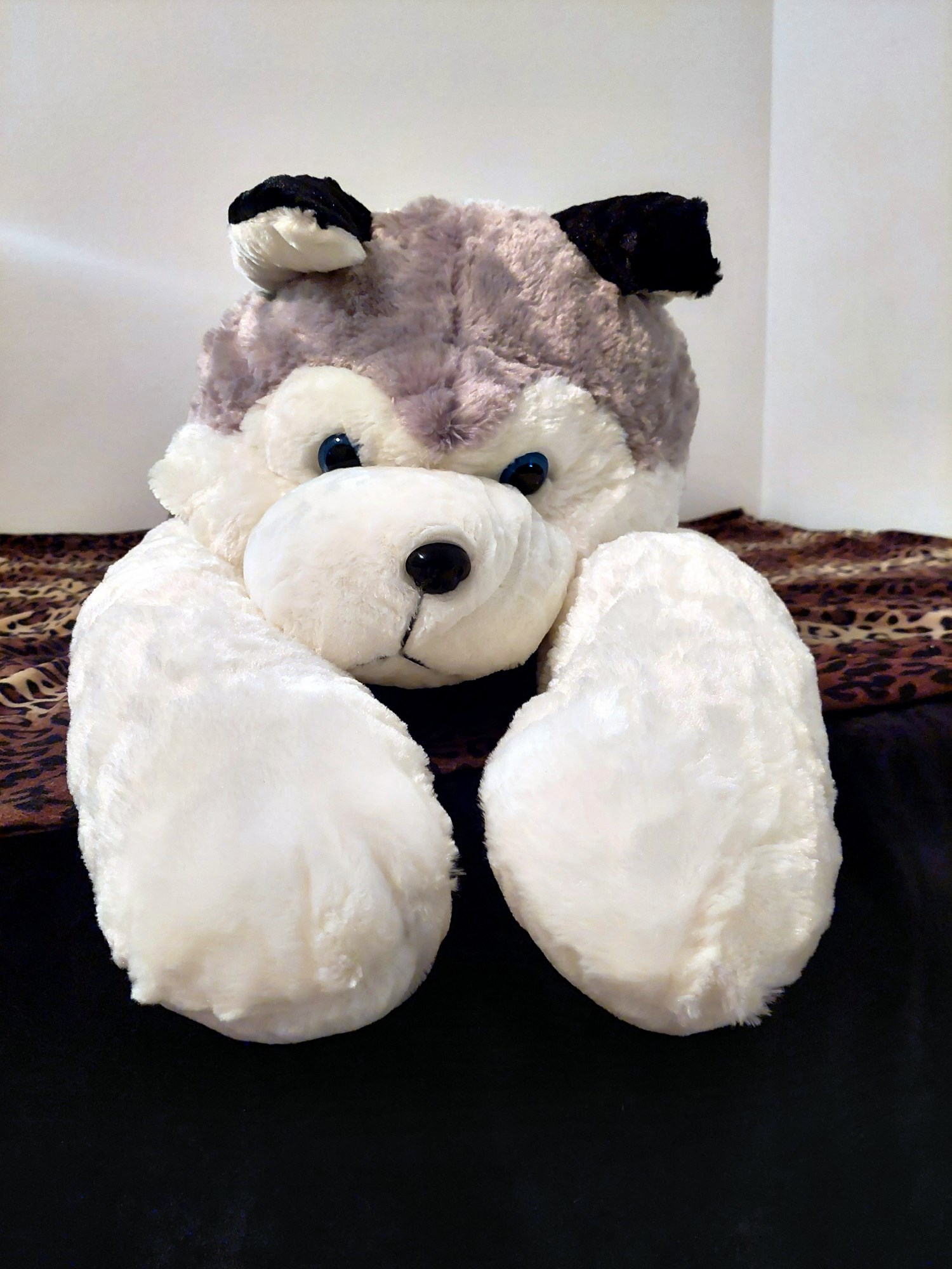 20230821_114653 (Copy)