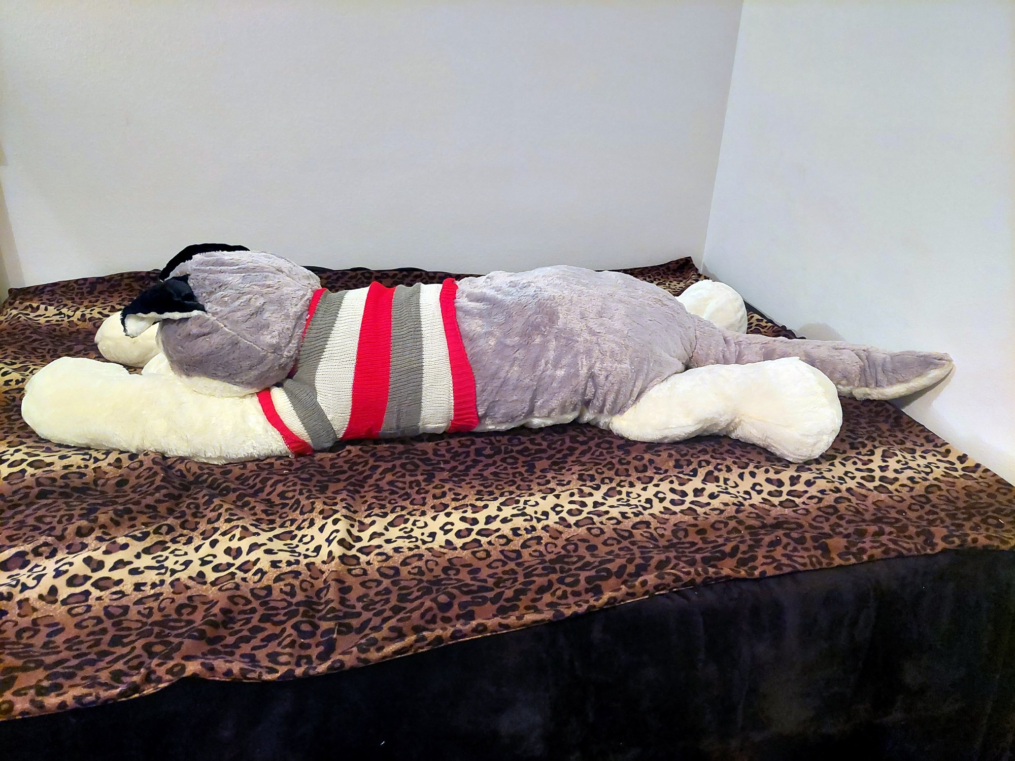 20230821_114725 (Copy)