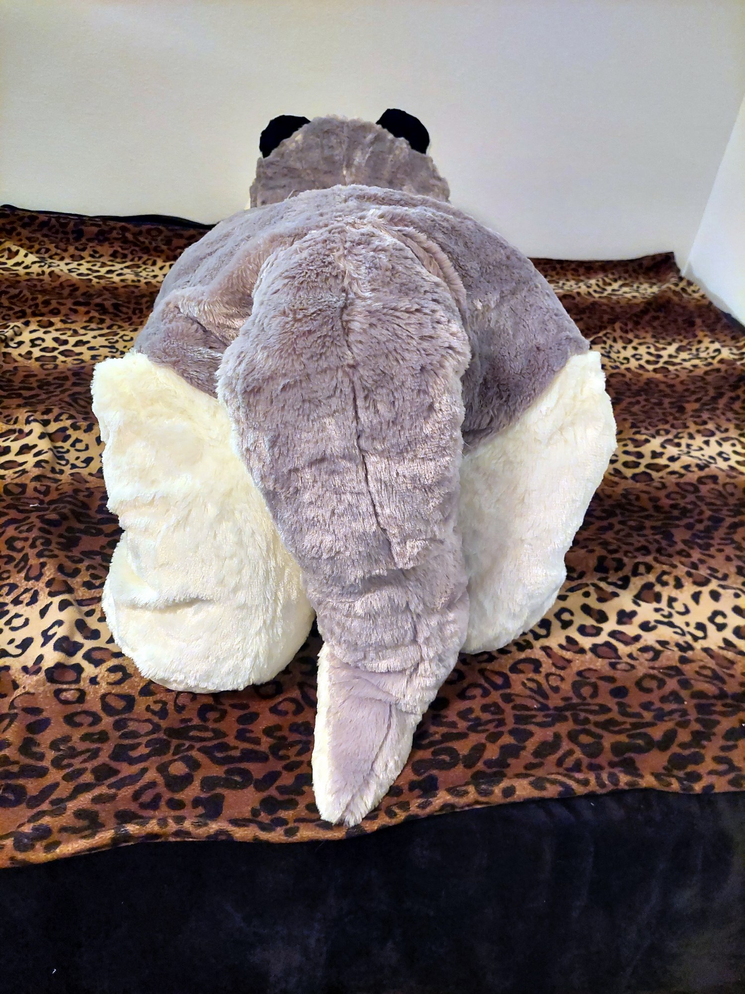 20230821_114750 (Copy)