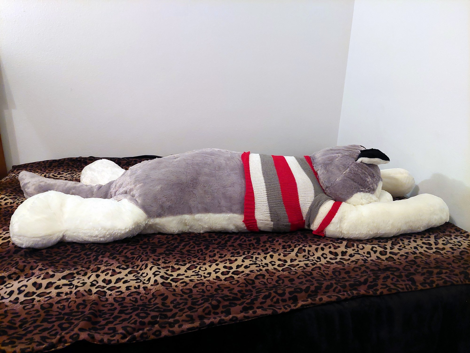 20230821_114829 (Copy)