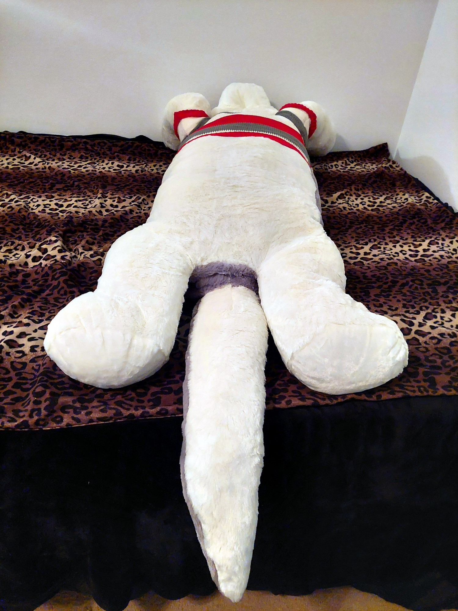 20230821_114848 (Copy)