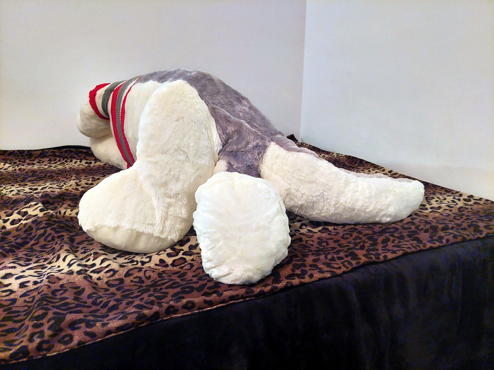 20230821_114911 (Copy)