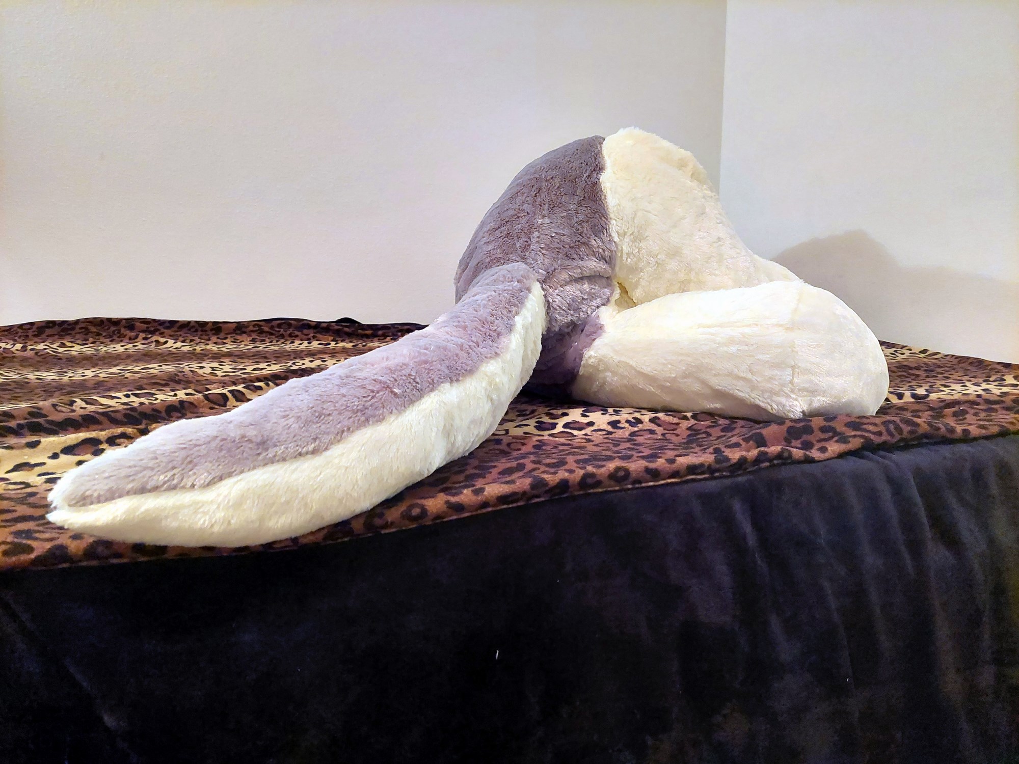 20230821_114932 (Copy)