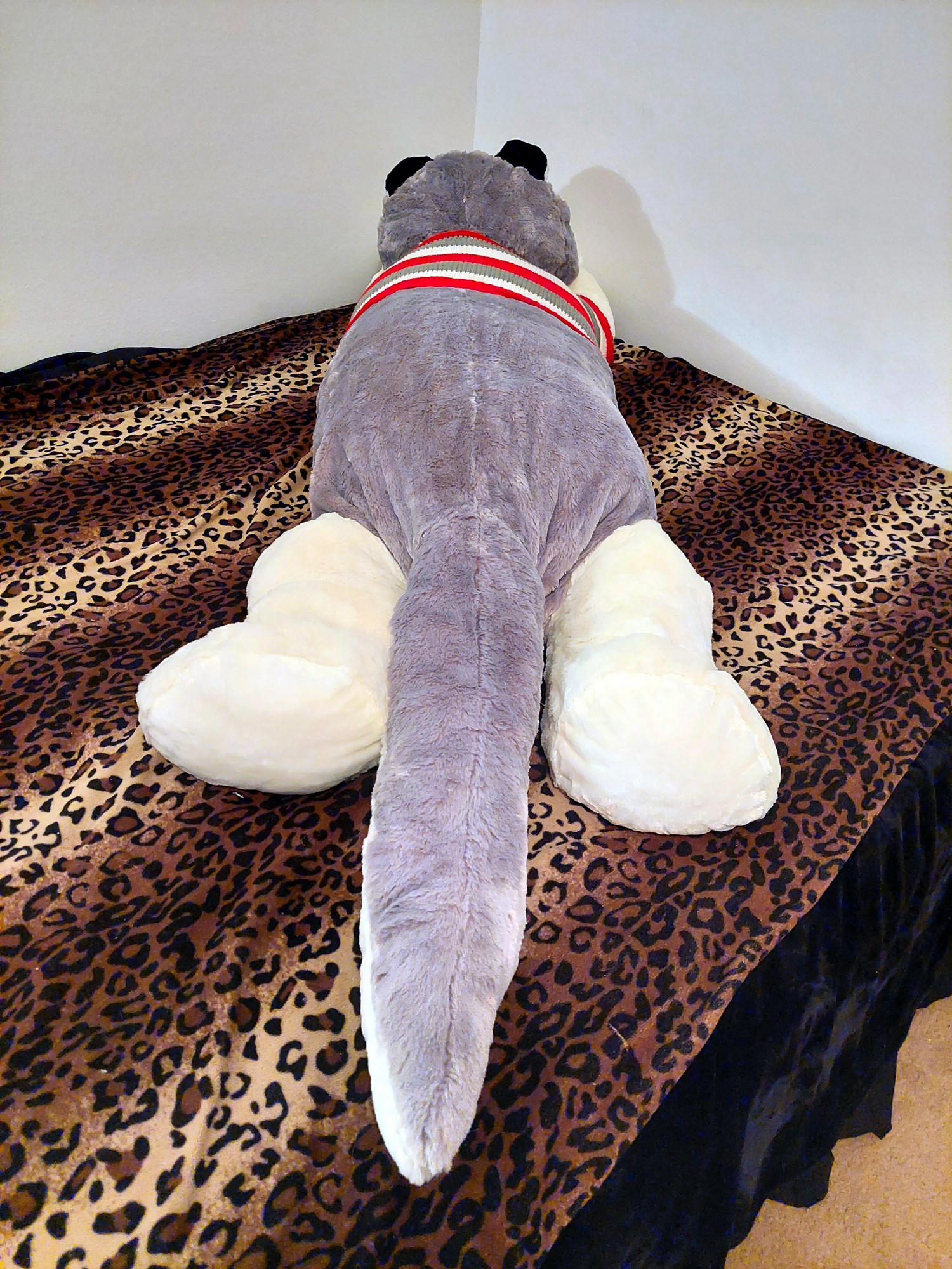 20230821_115044 (Copy)