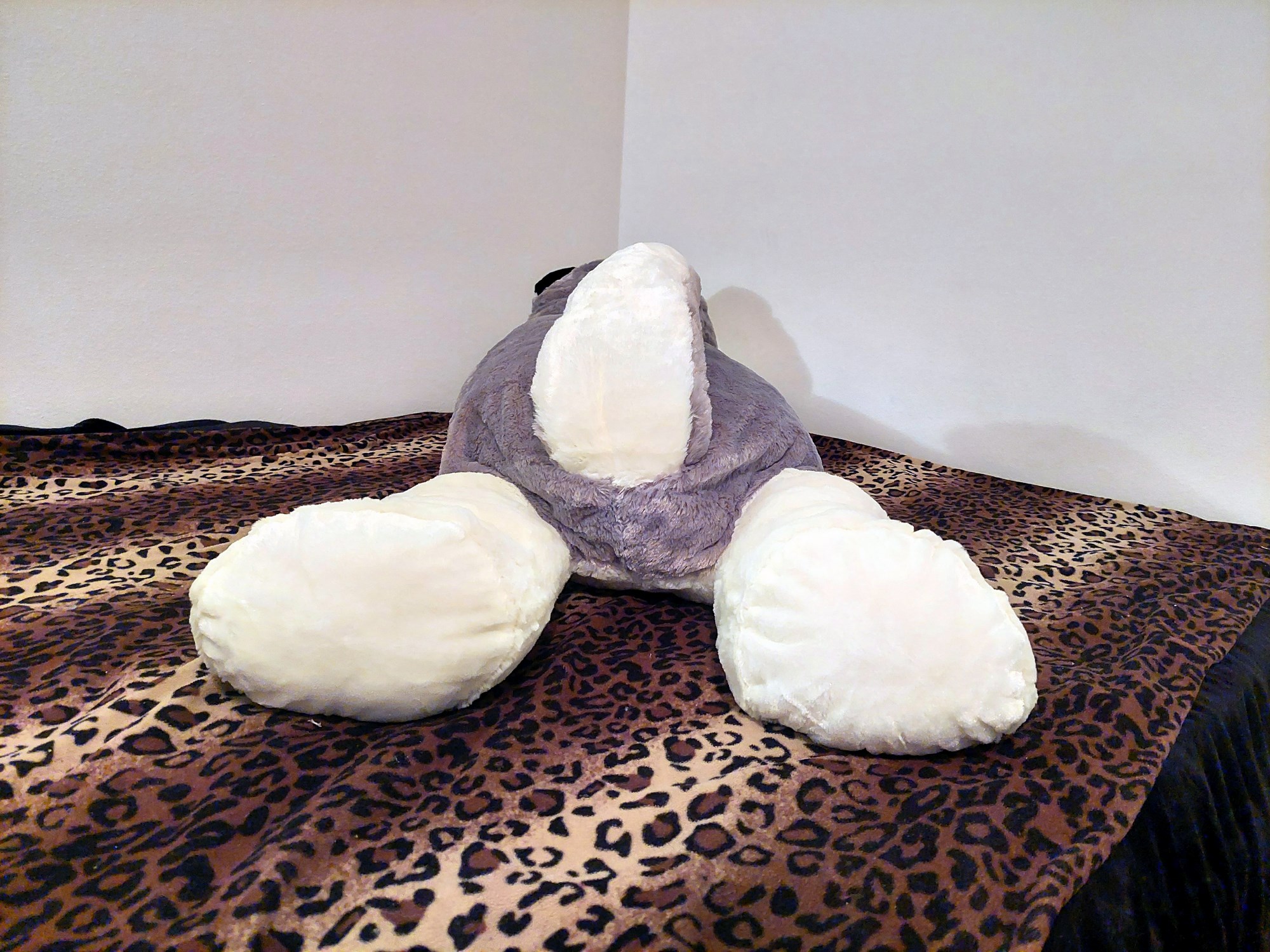 20230821_115052 (Copy)