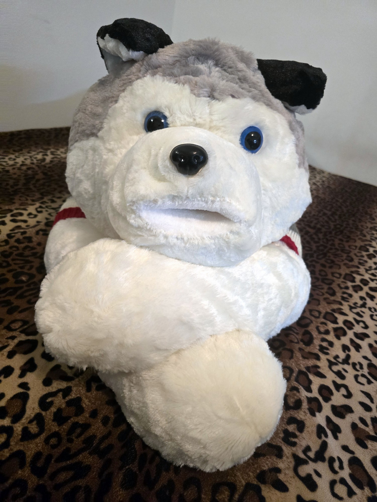 20250124_205240(0) (Copy)