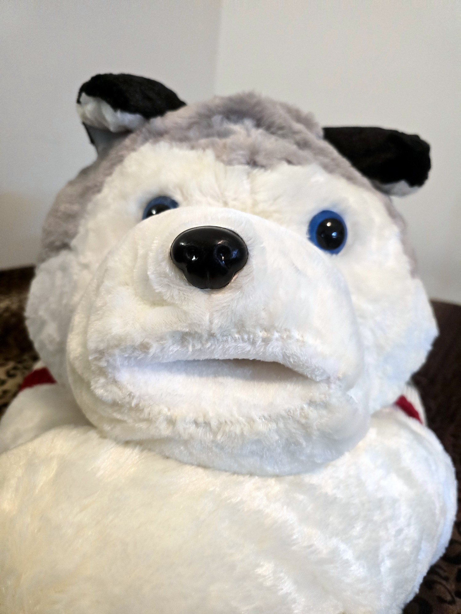 20250124_205244 (Copy)