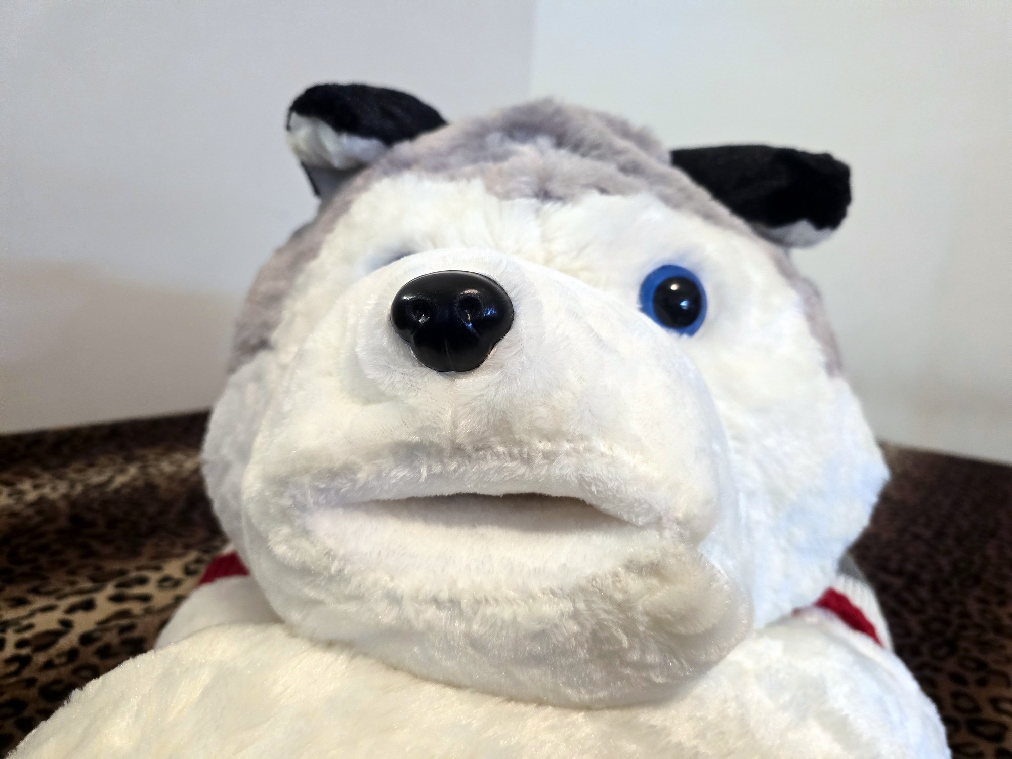 20250124_205246 (Copy)