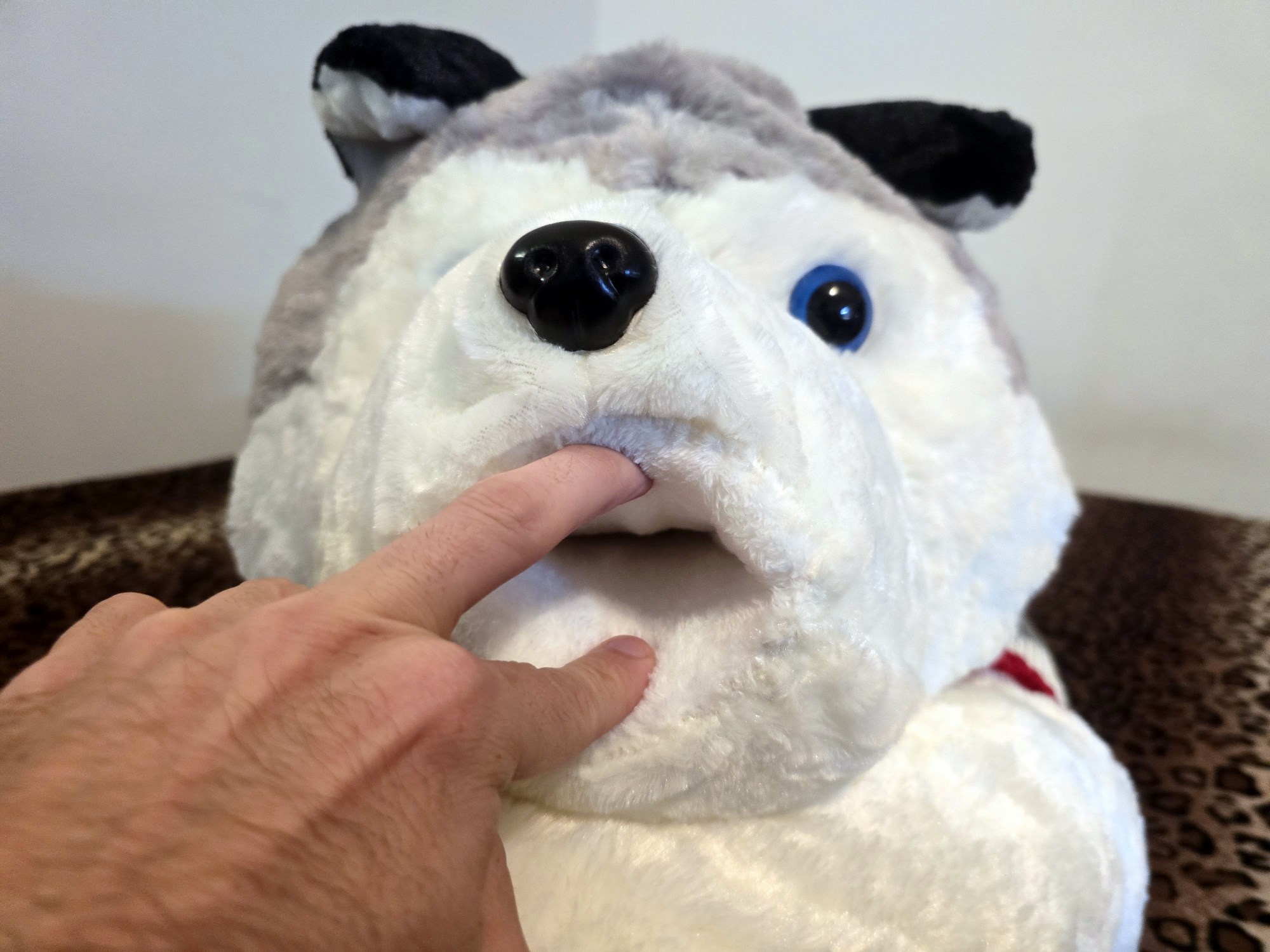 20250124_205250 (Copy)