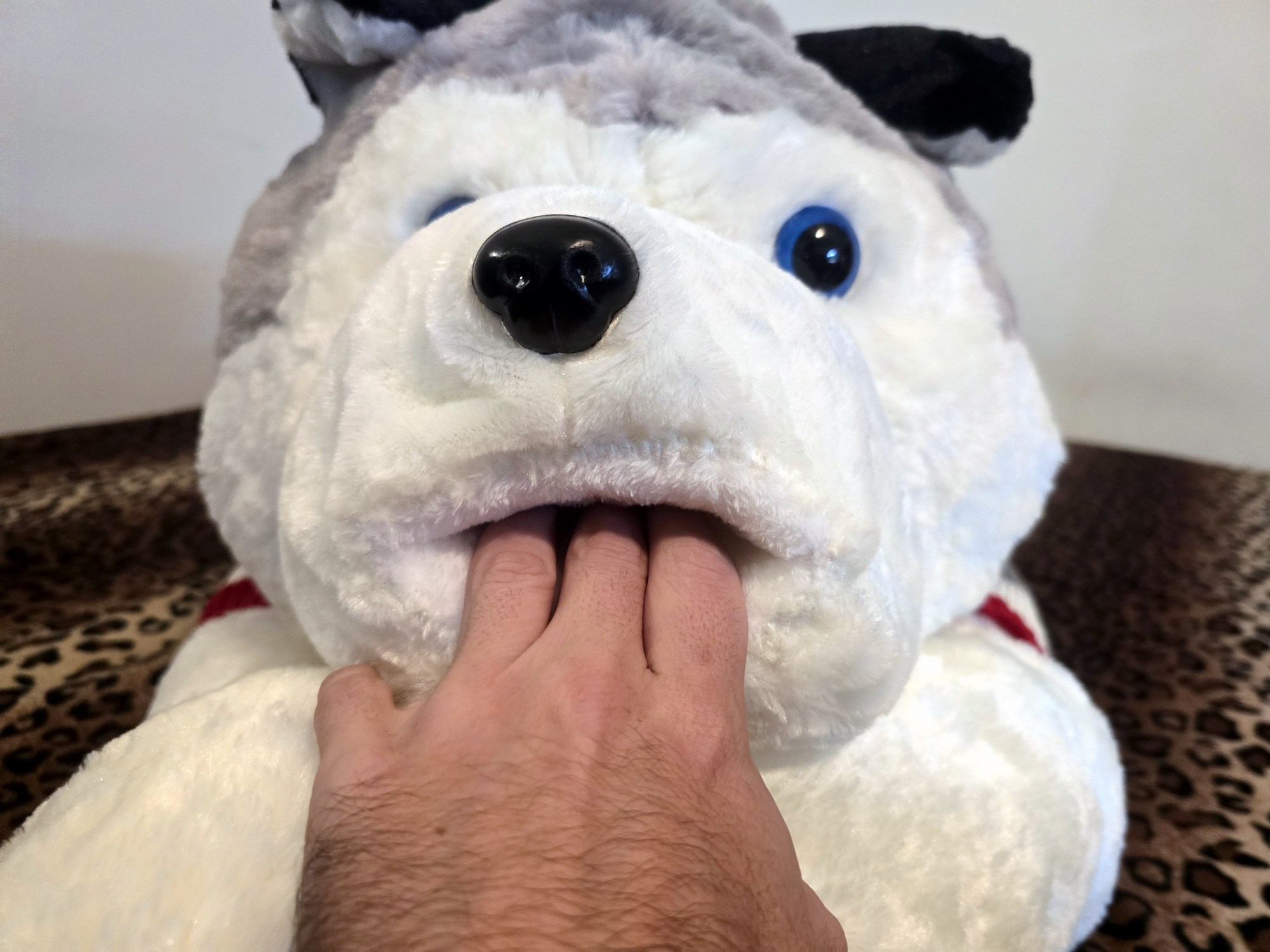 20250124_205252 (Copy)