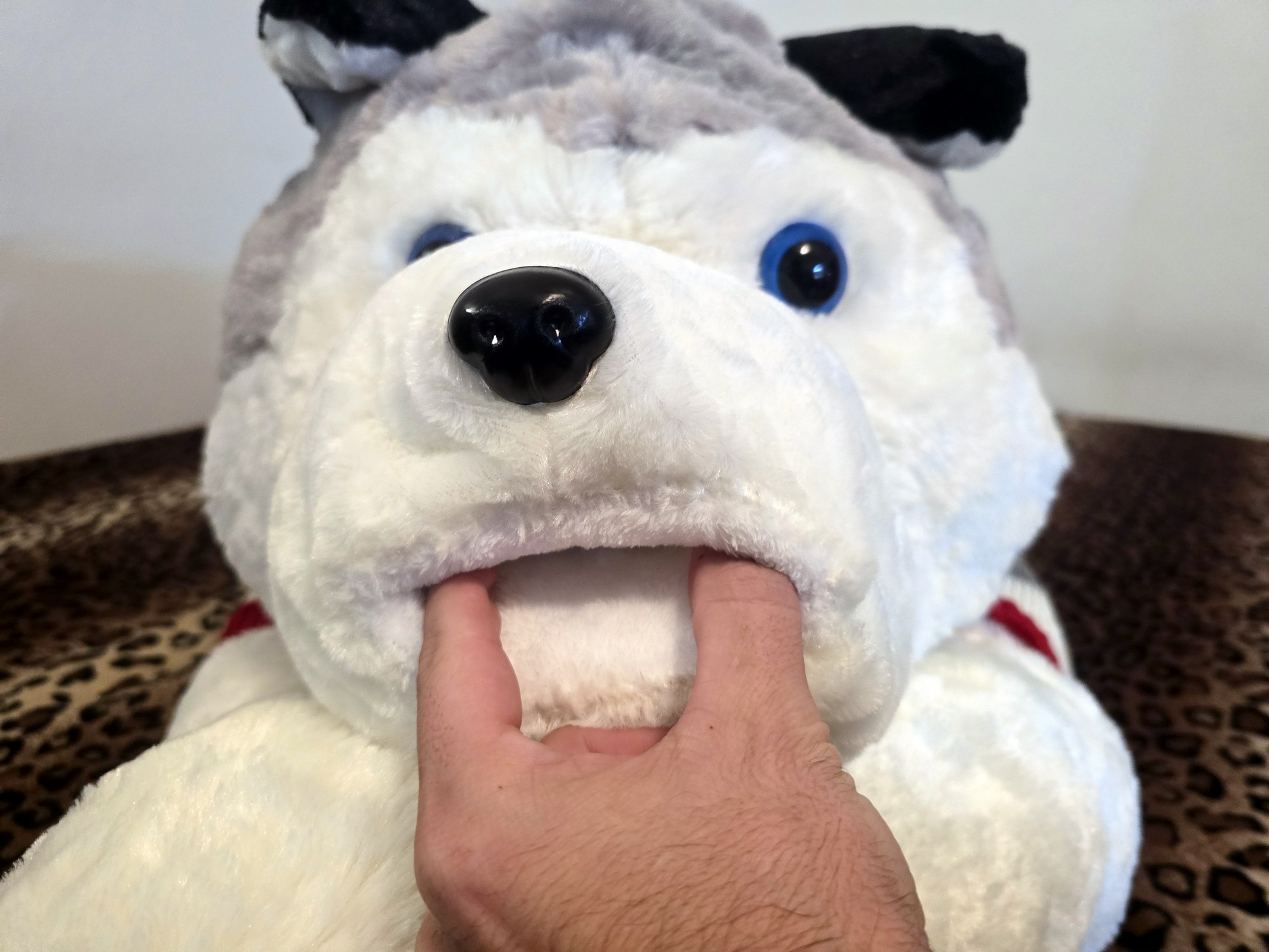 20250124_205255 (Copy)