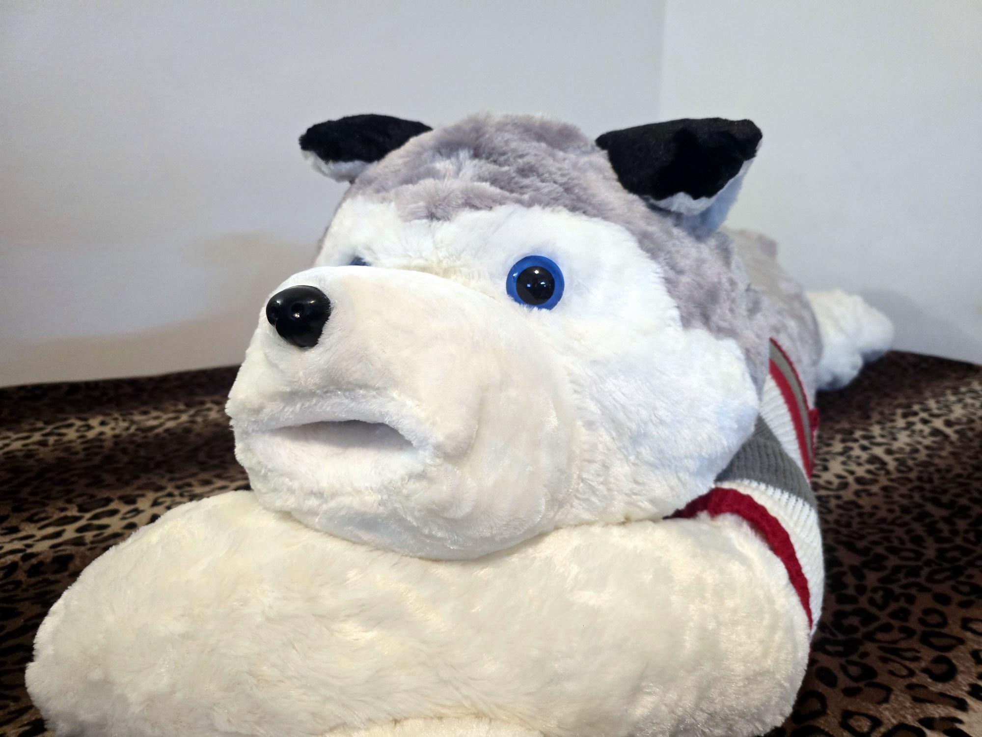 20250124_205257 (Copy)