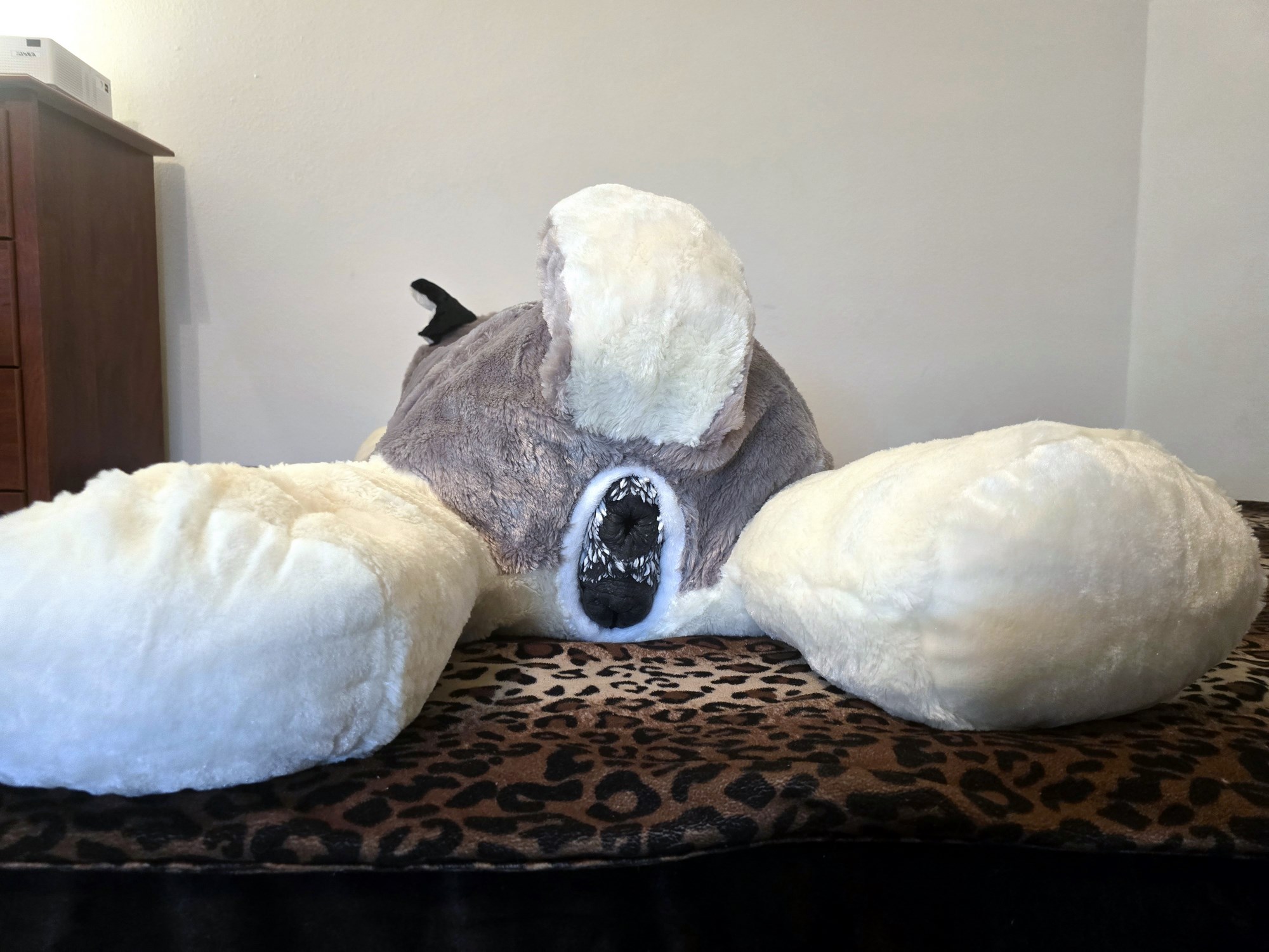 20250124_205313 (Copy)