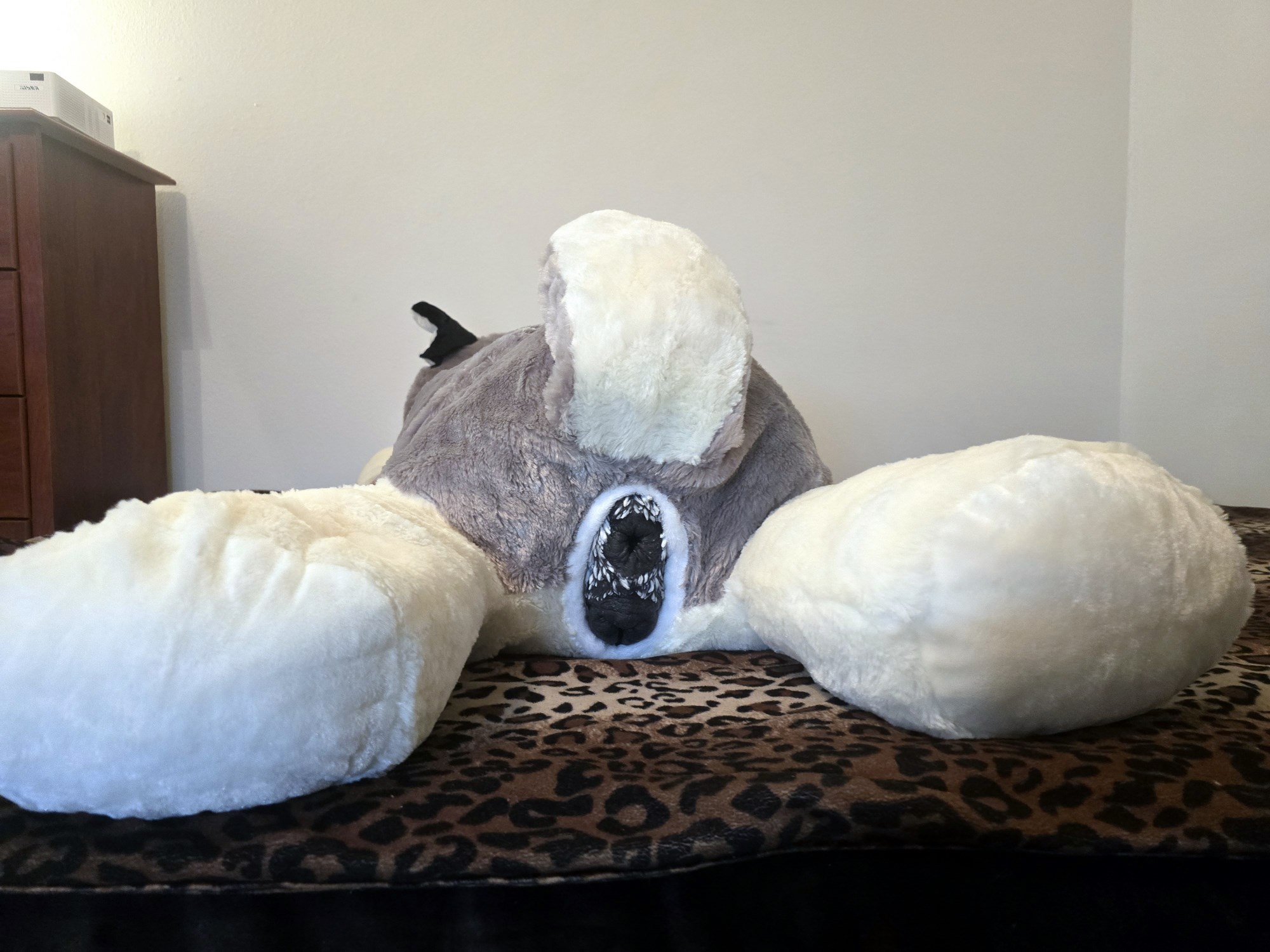 20250124_205314 (Copy)