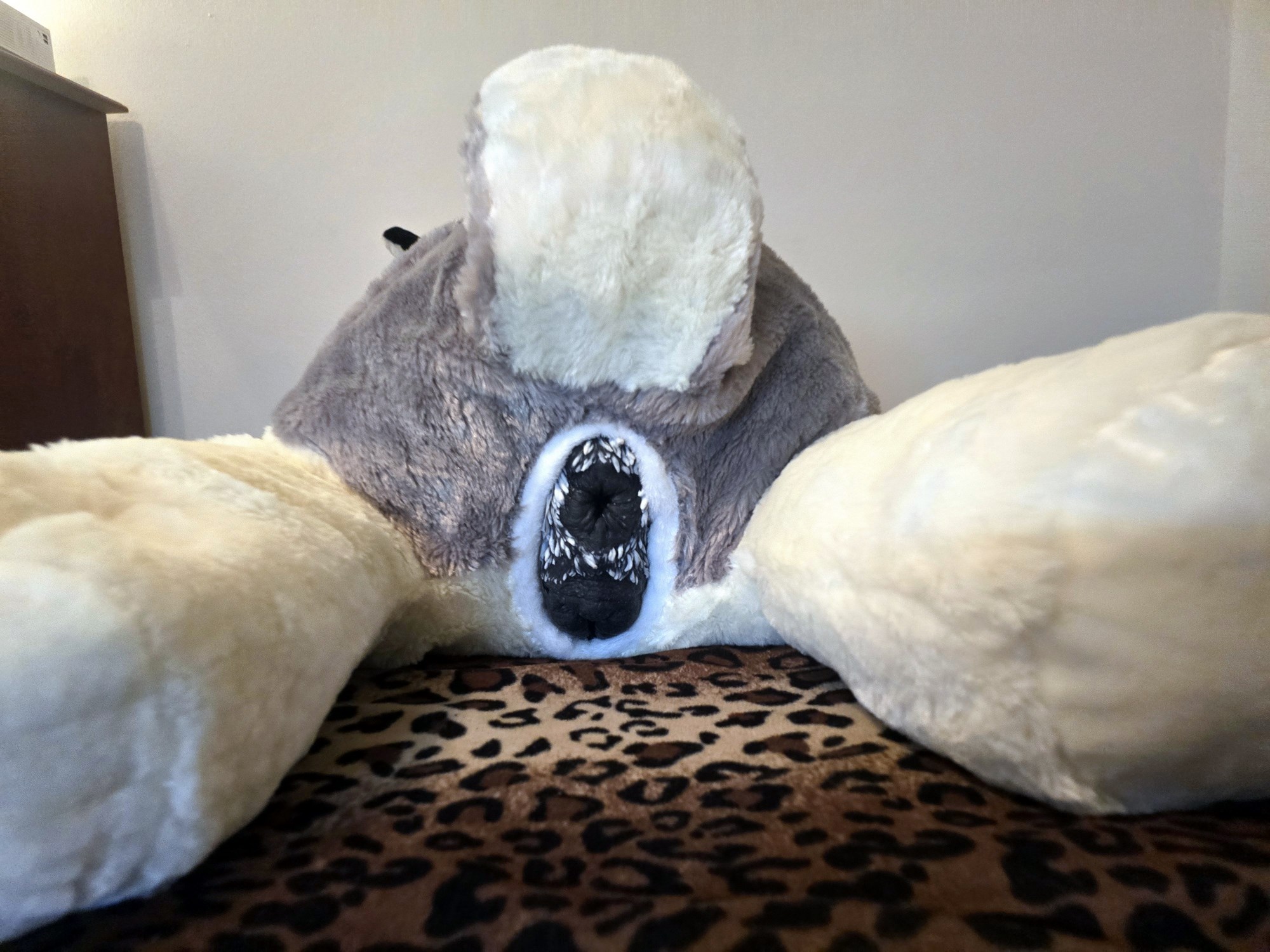 20250124_205315(0) (Copy)