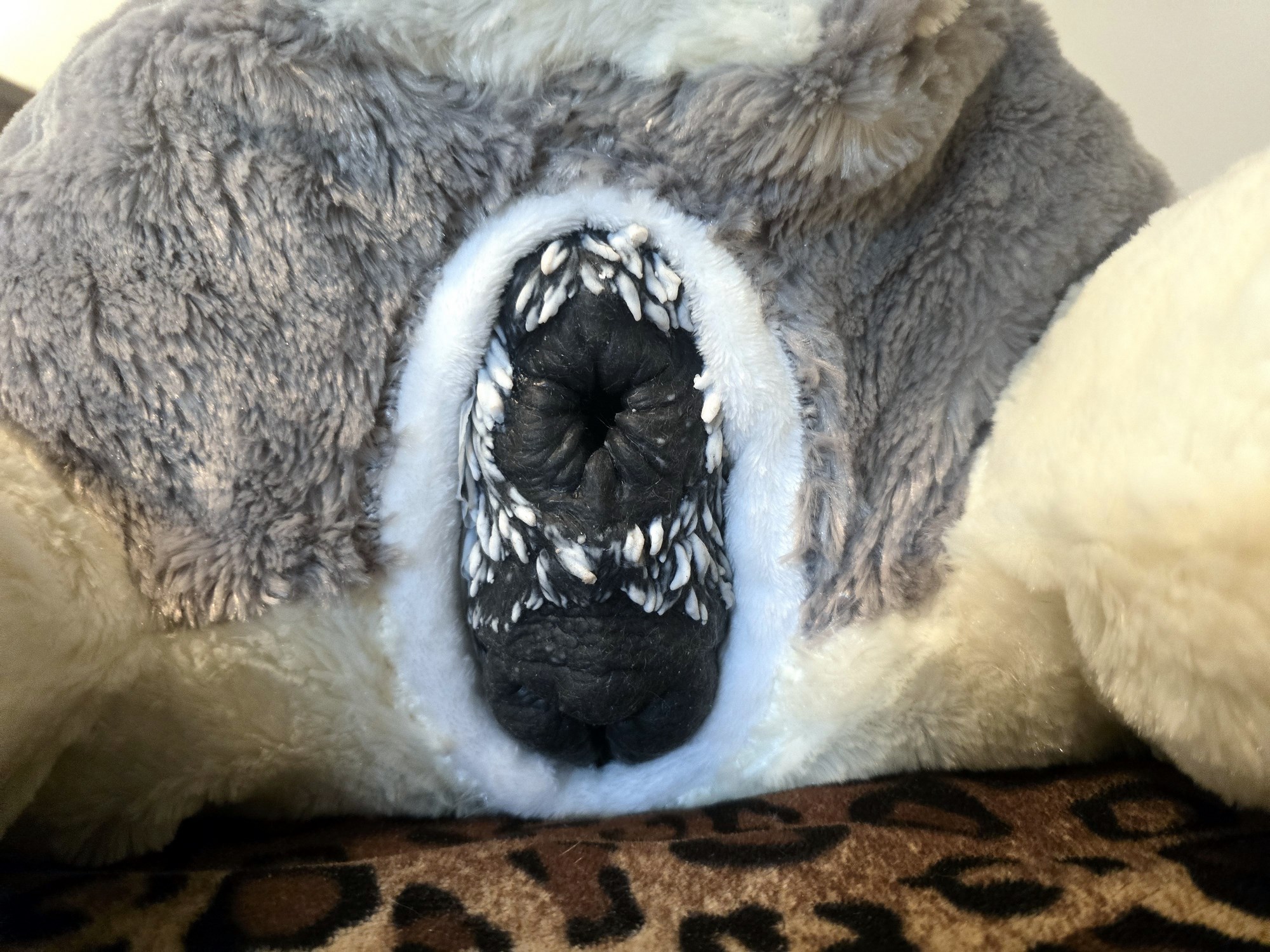 20250124_205317 (Copy)