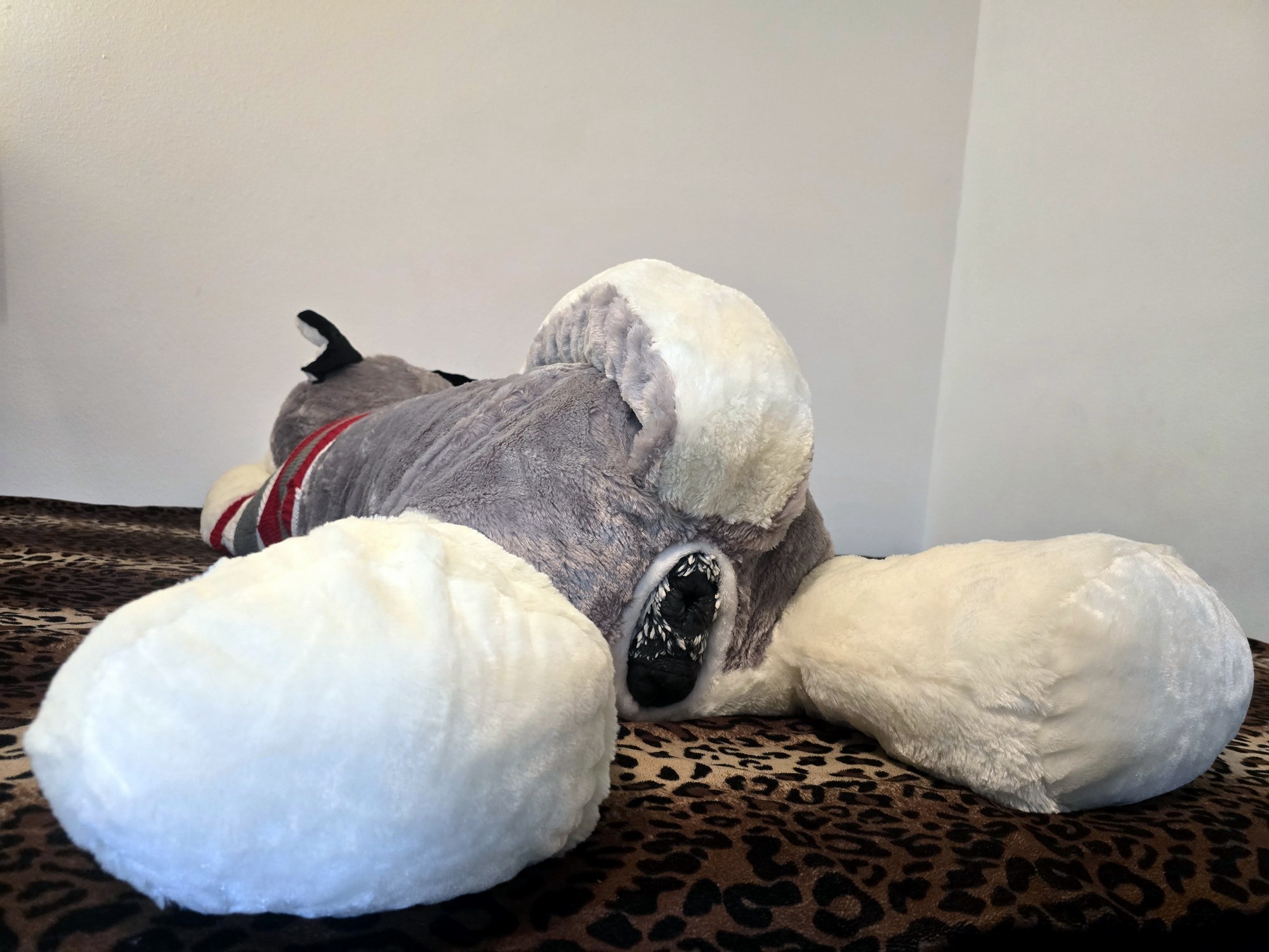 20250124_205326 (Copy)