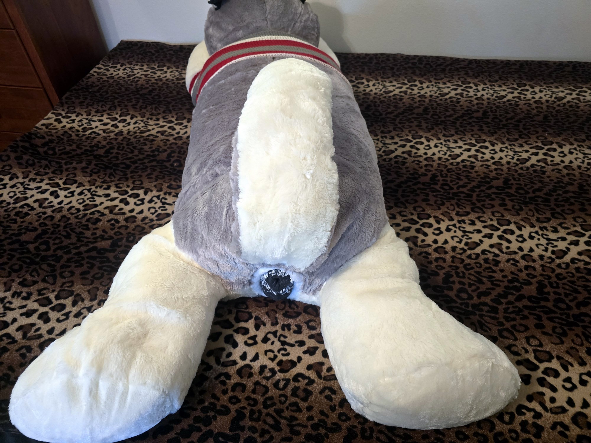 20250124_205433 (Copy)