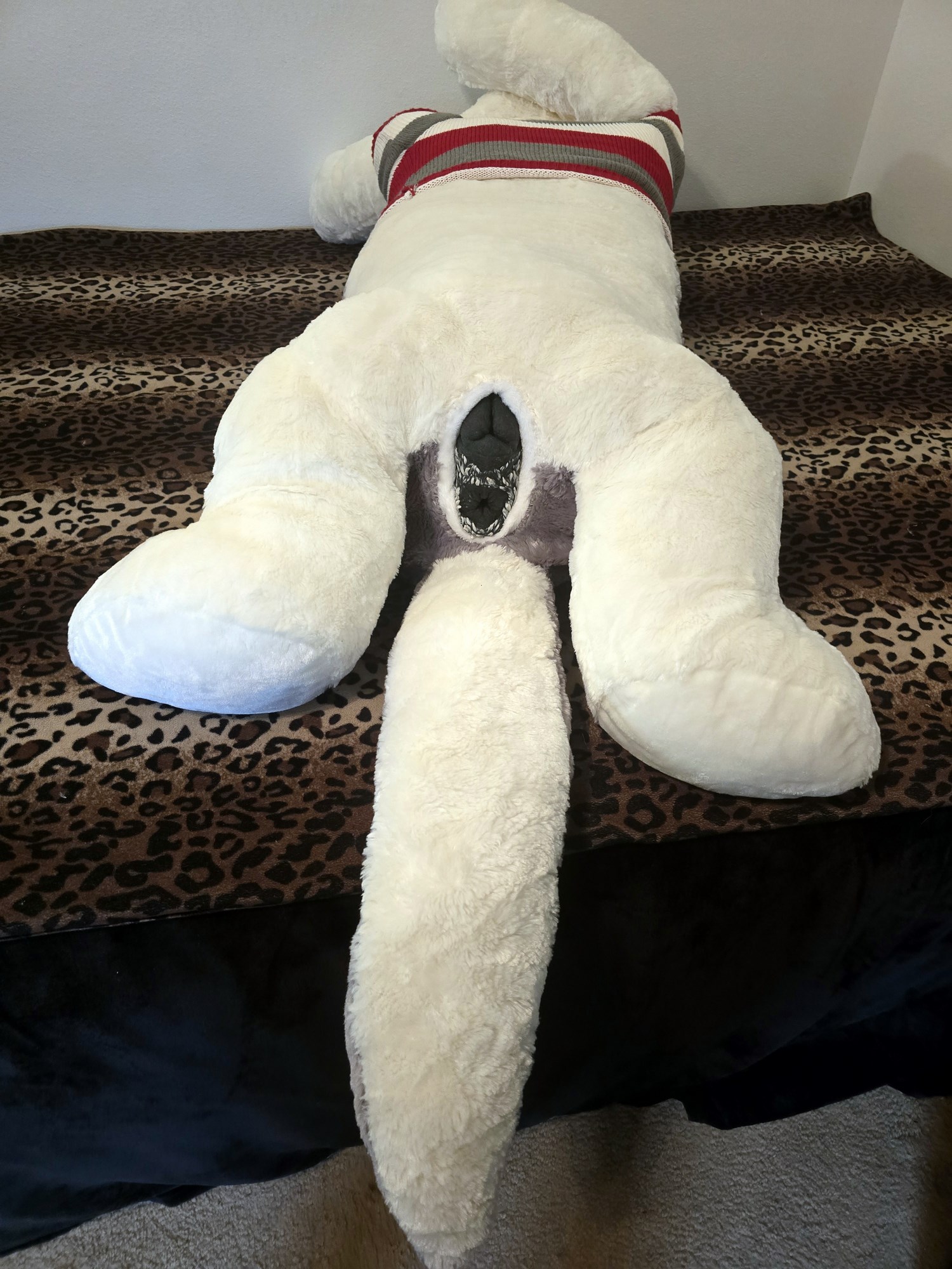 20250124_205452 (Copy)