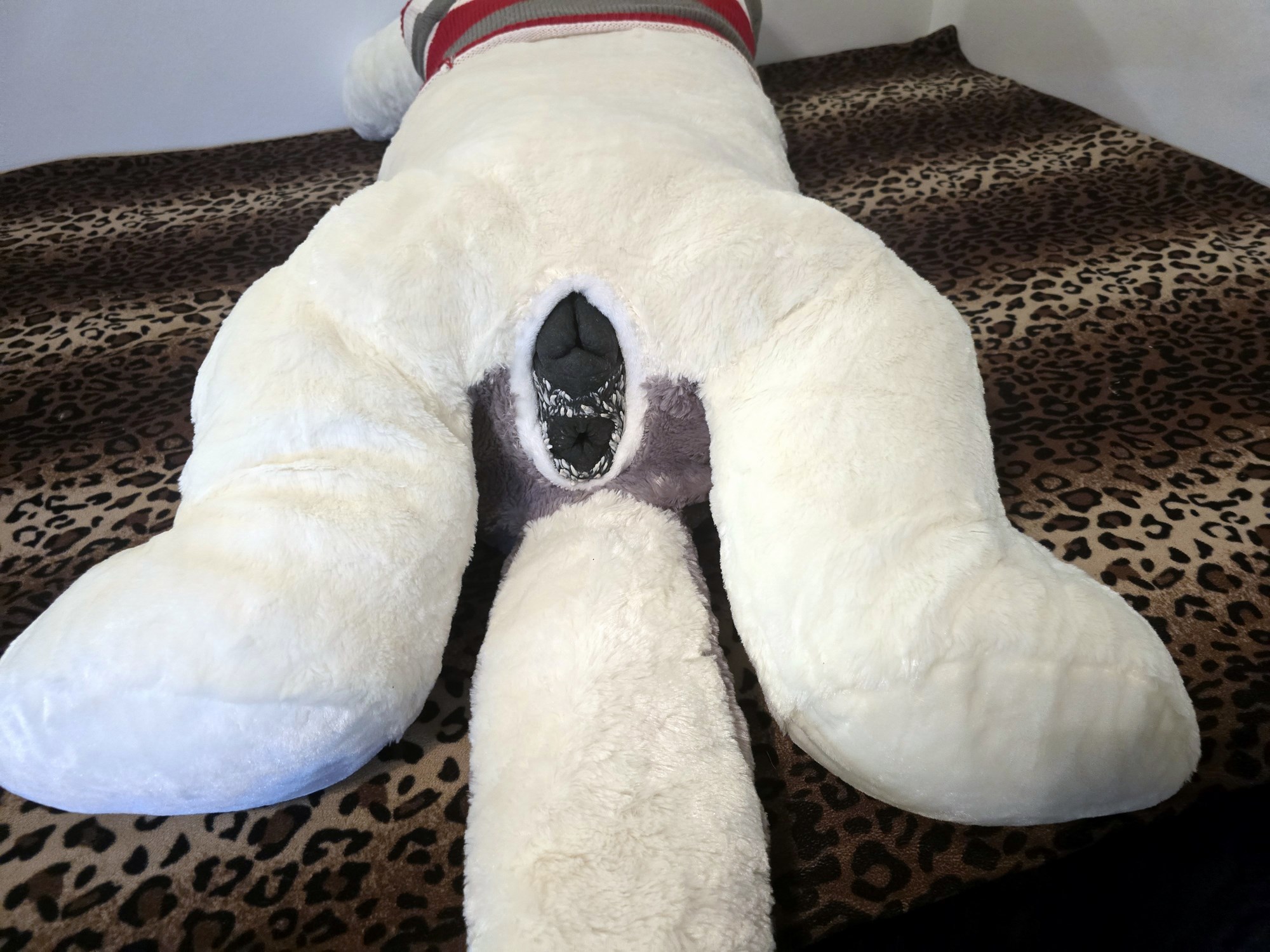 20250124_205454 (Copy)