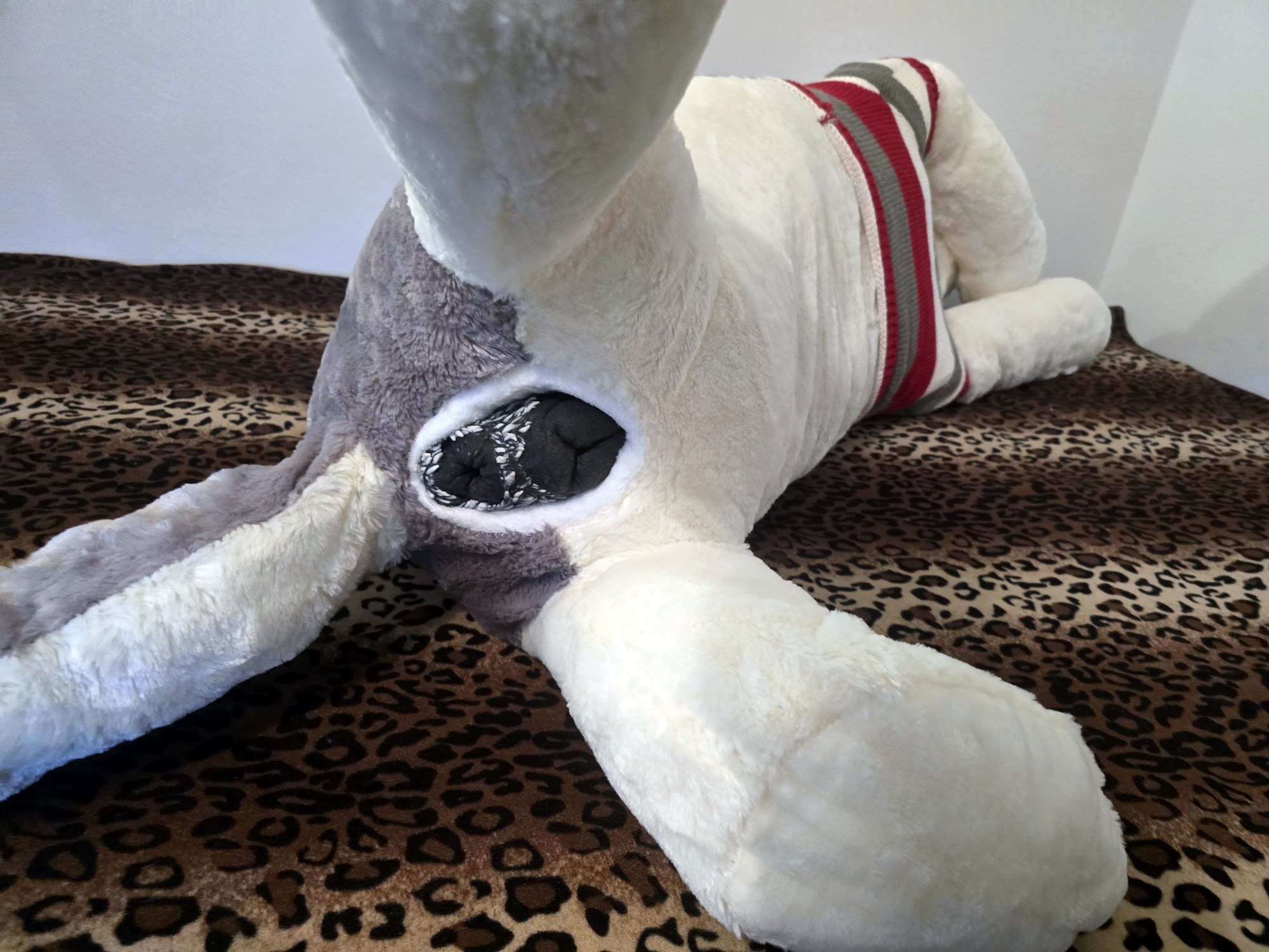 20250124_205505 (Copy)