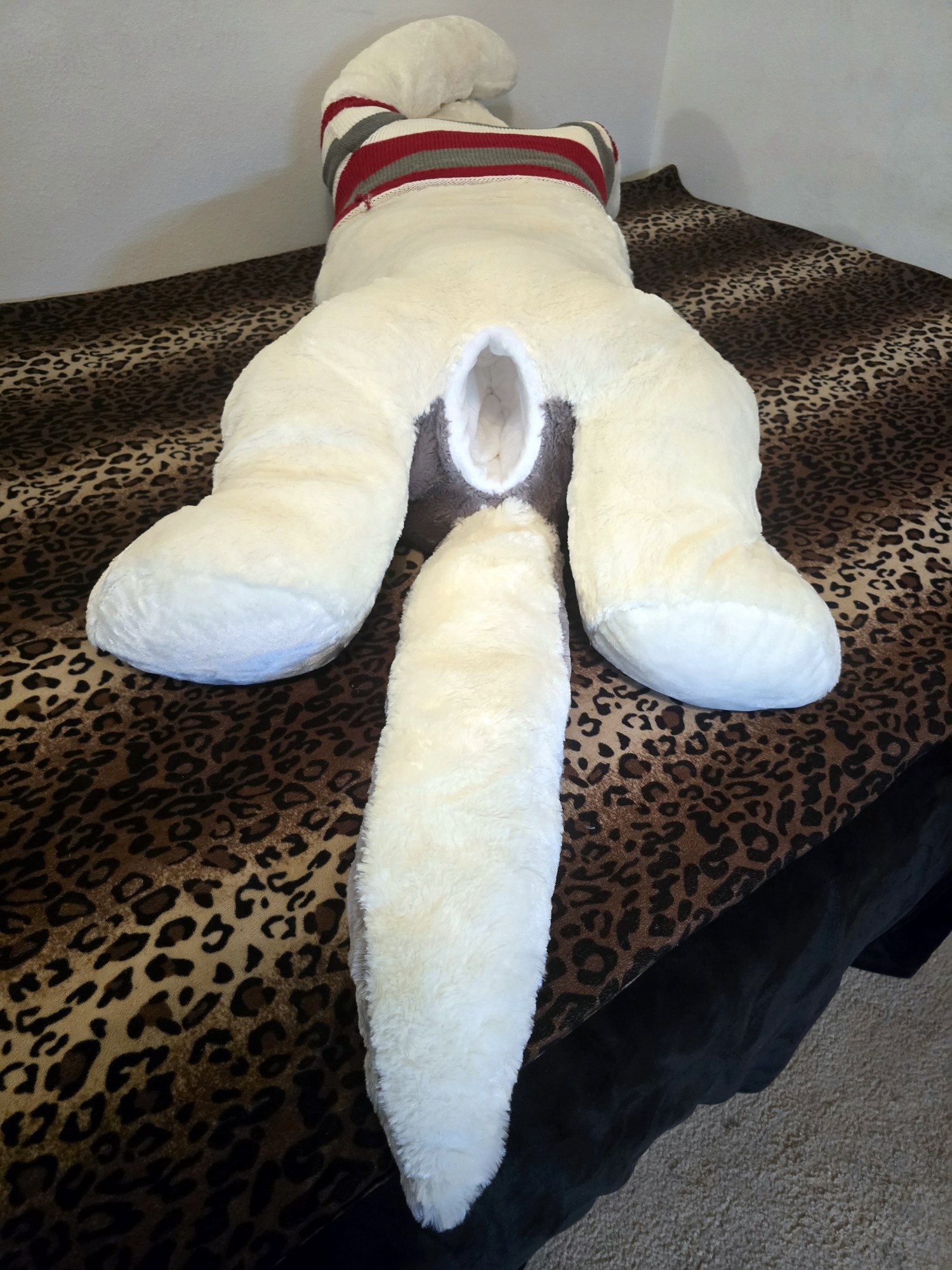 20250124_205555 (Copy)