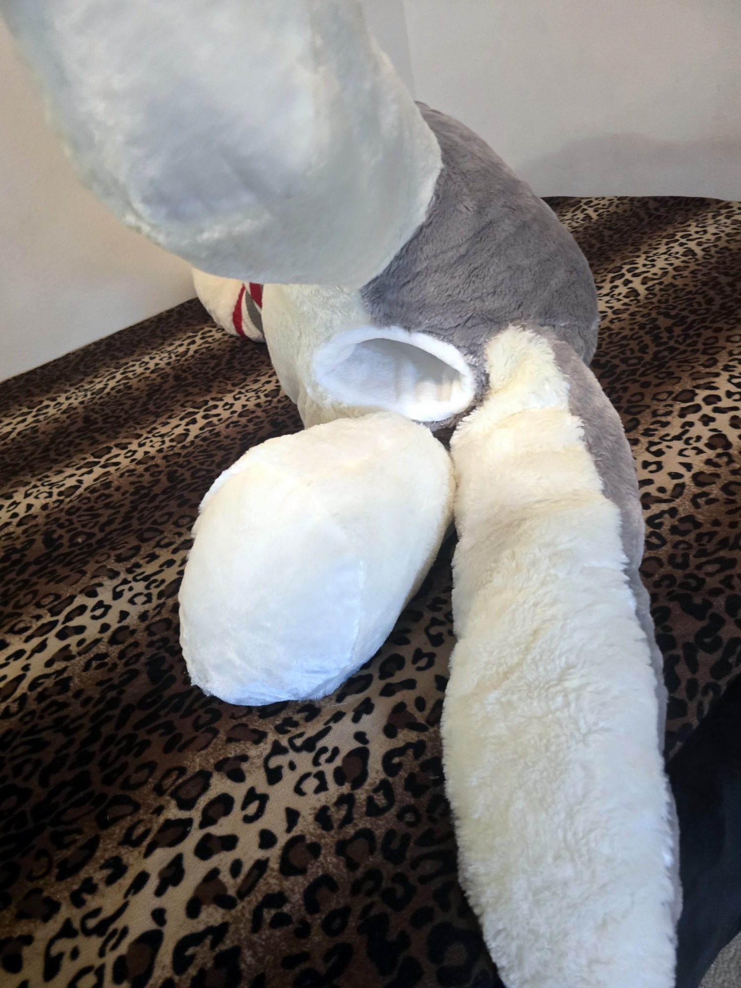 20250124_205605 (Copy)