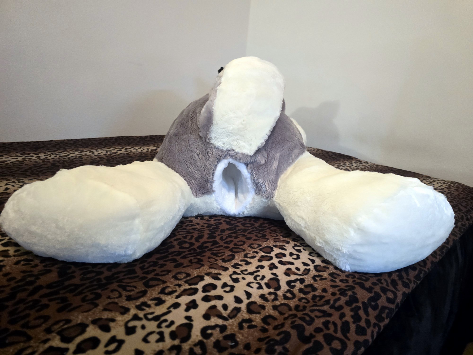 20250124_205616 (Copy)