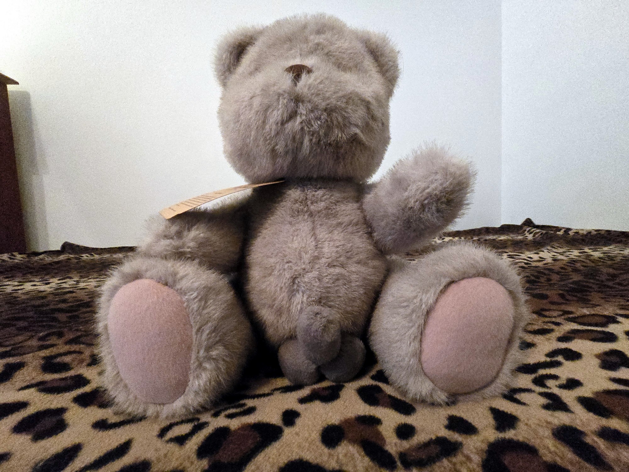 20250201_205923 (Copy)