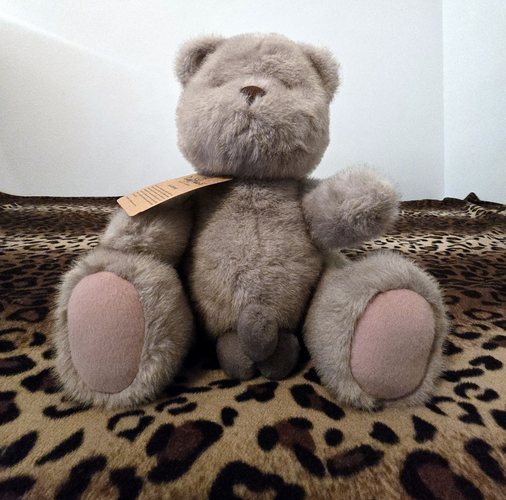 20250201_205925 (Copy)