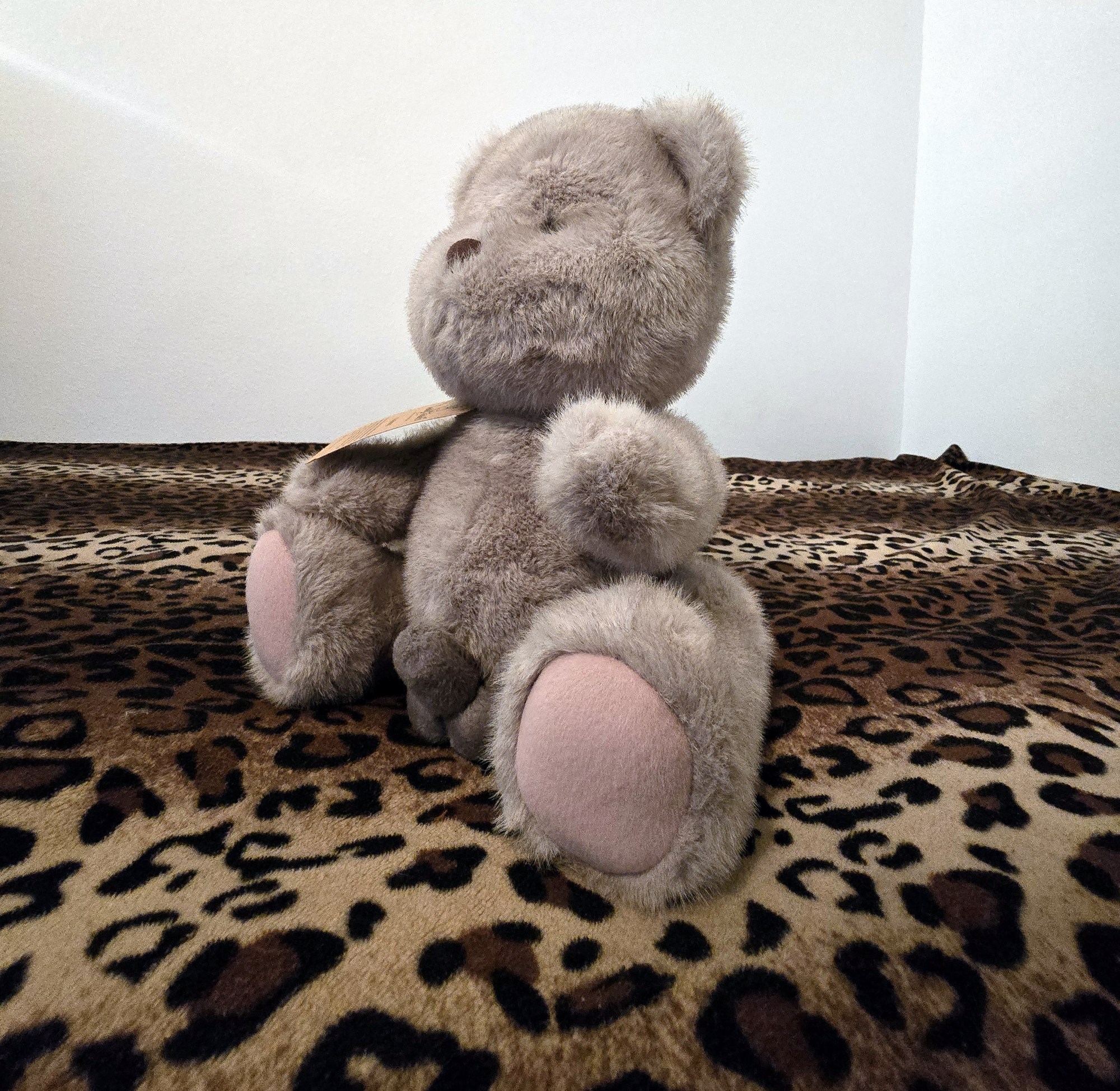 20250201_205929 (Copy)