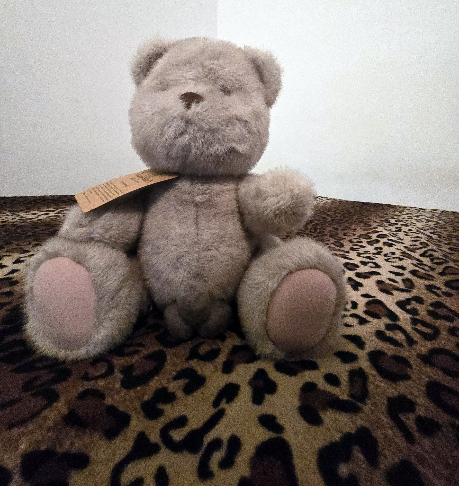 20250201_205930 (Copy)