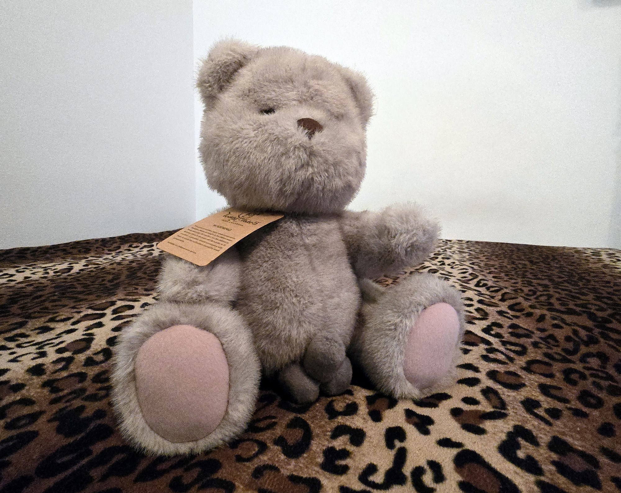 20250201_205932 (Copy)