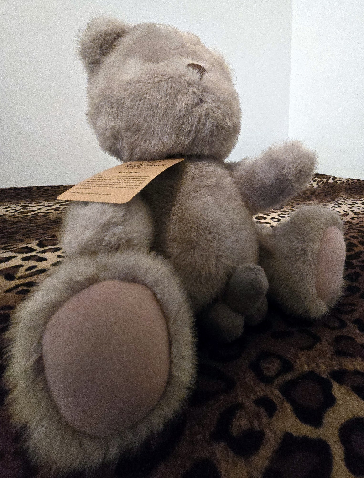 20250201_205935 (Copy)