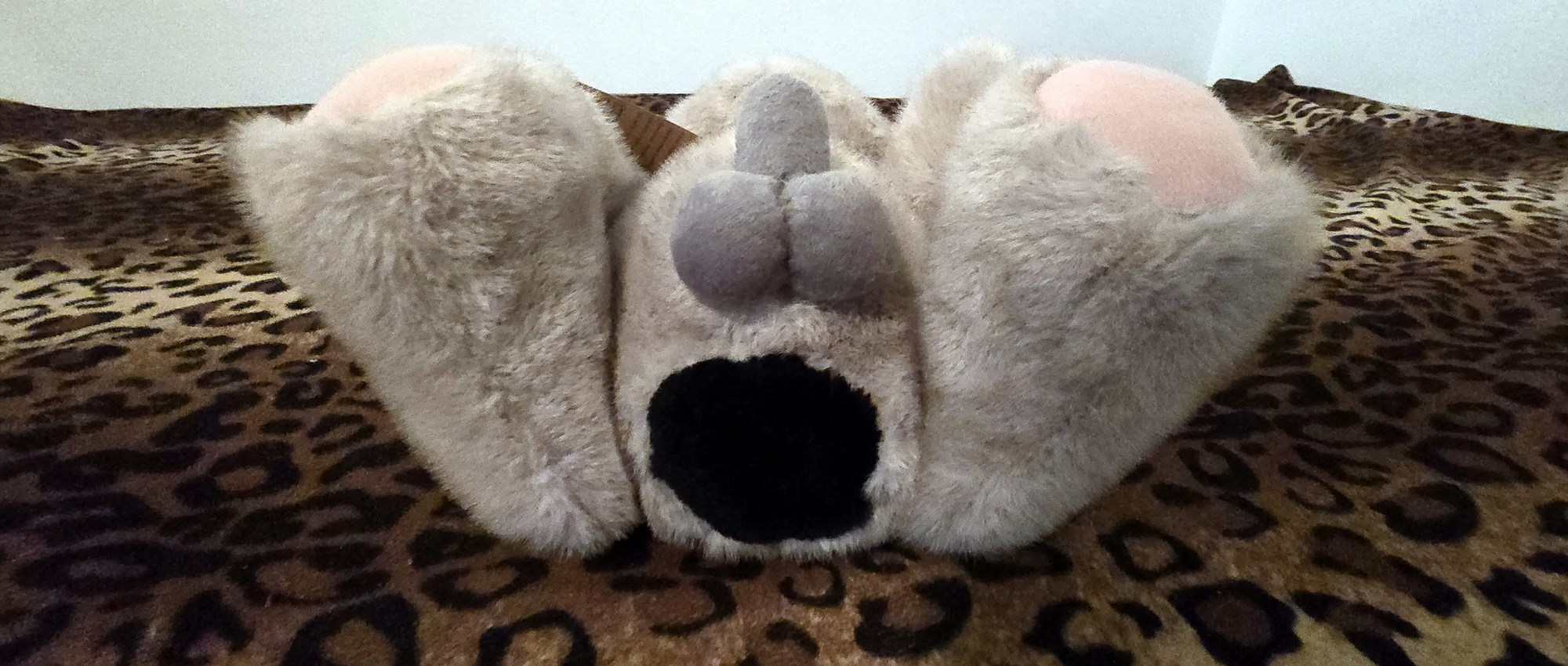 20250201_205939 (Copy)