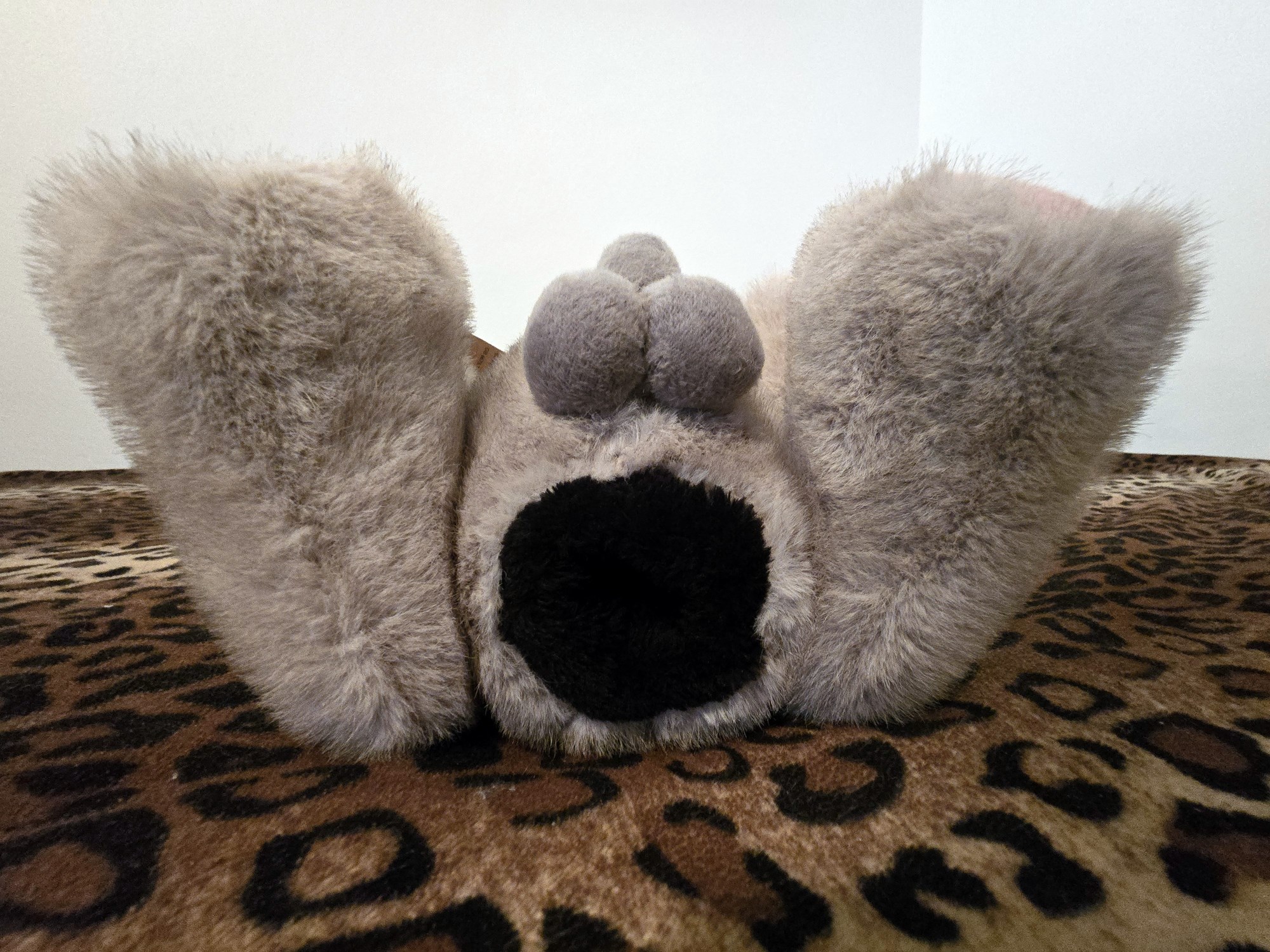 20250201_205945 (Copy)