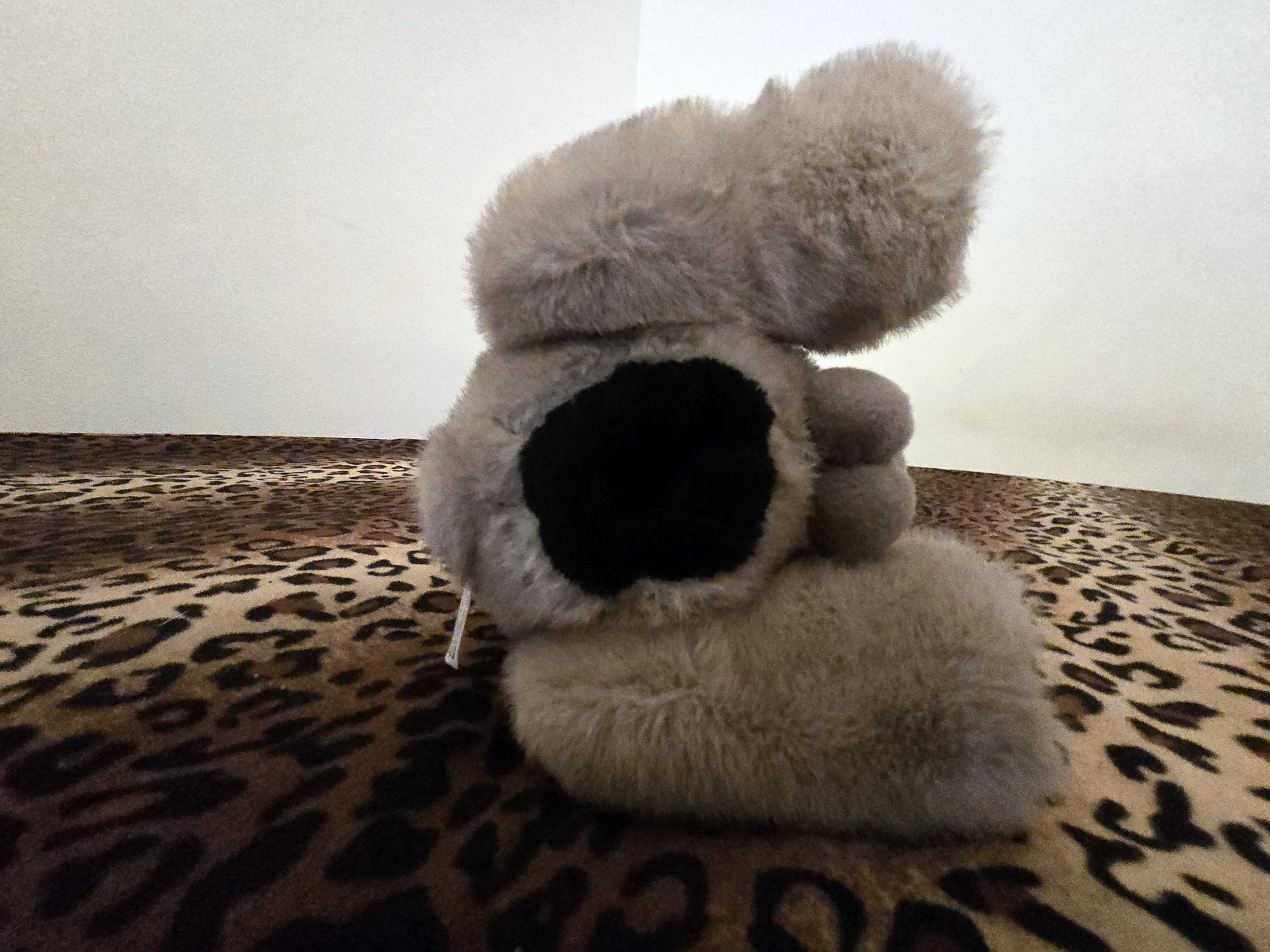 20250201_205948 (Copy)