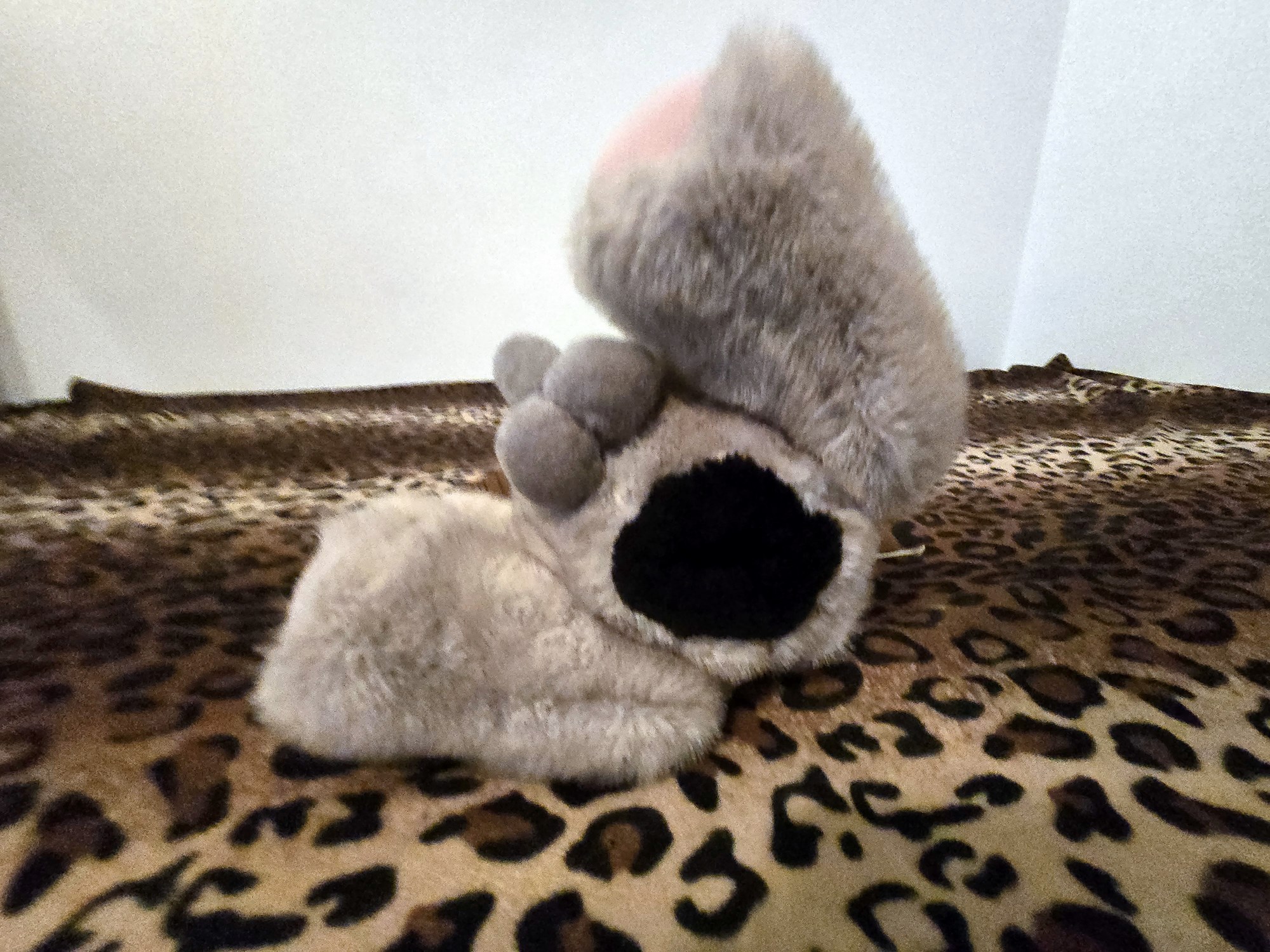 20250201_205951 (Copy)