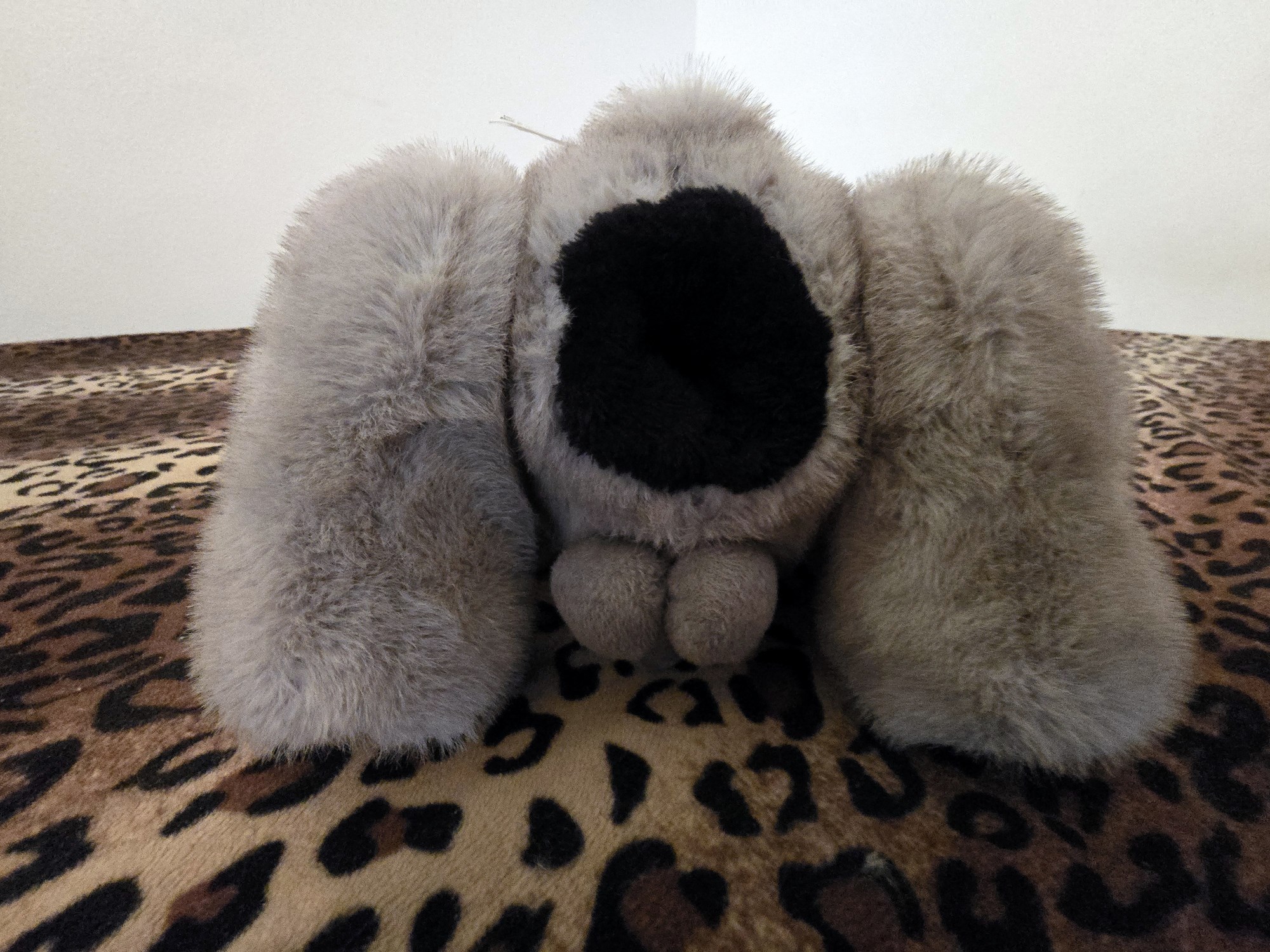 20250201_205955 (Copy)