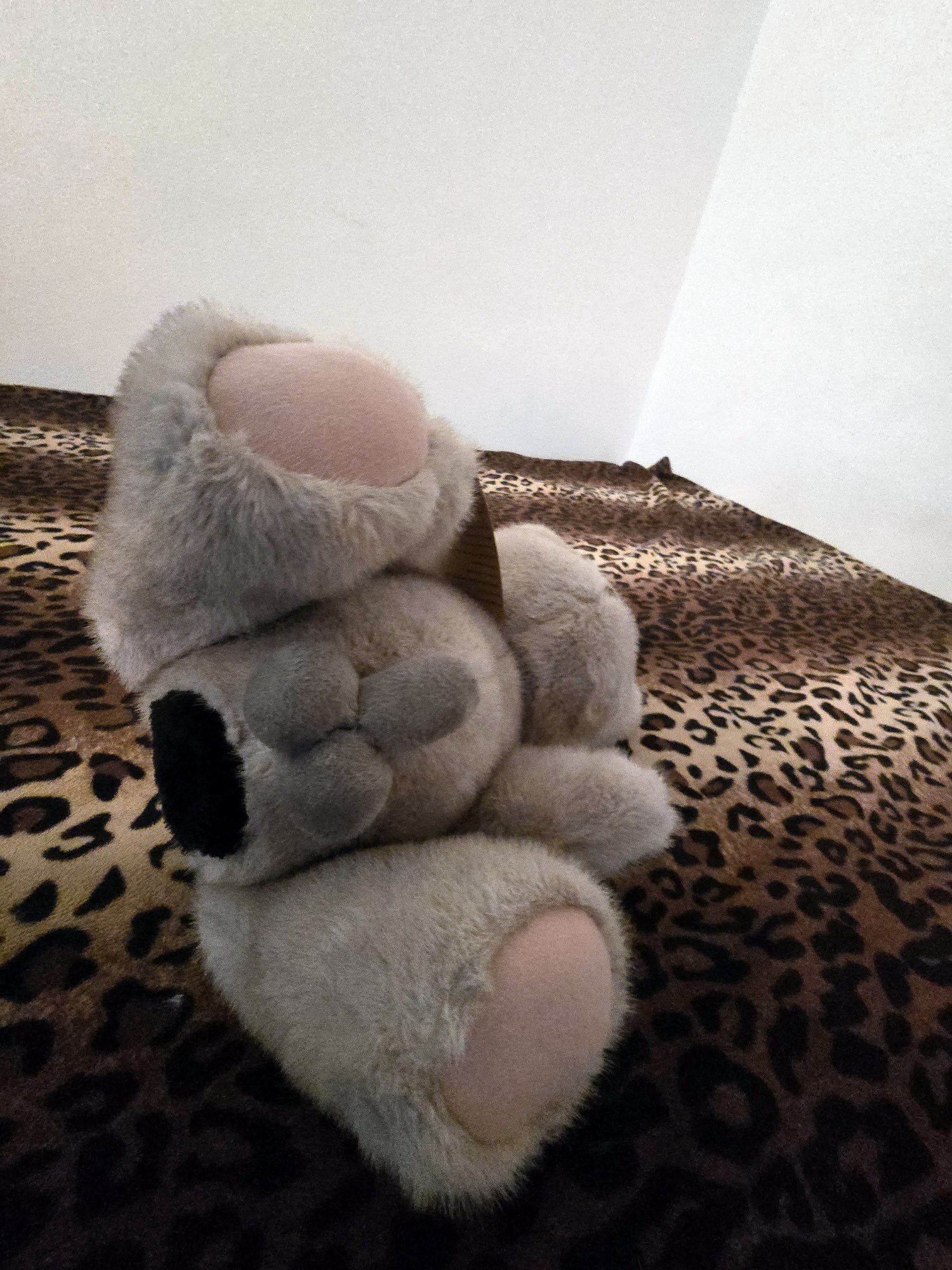 20250201_210005 (Copy)